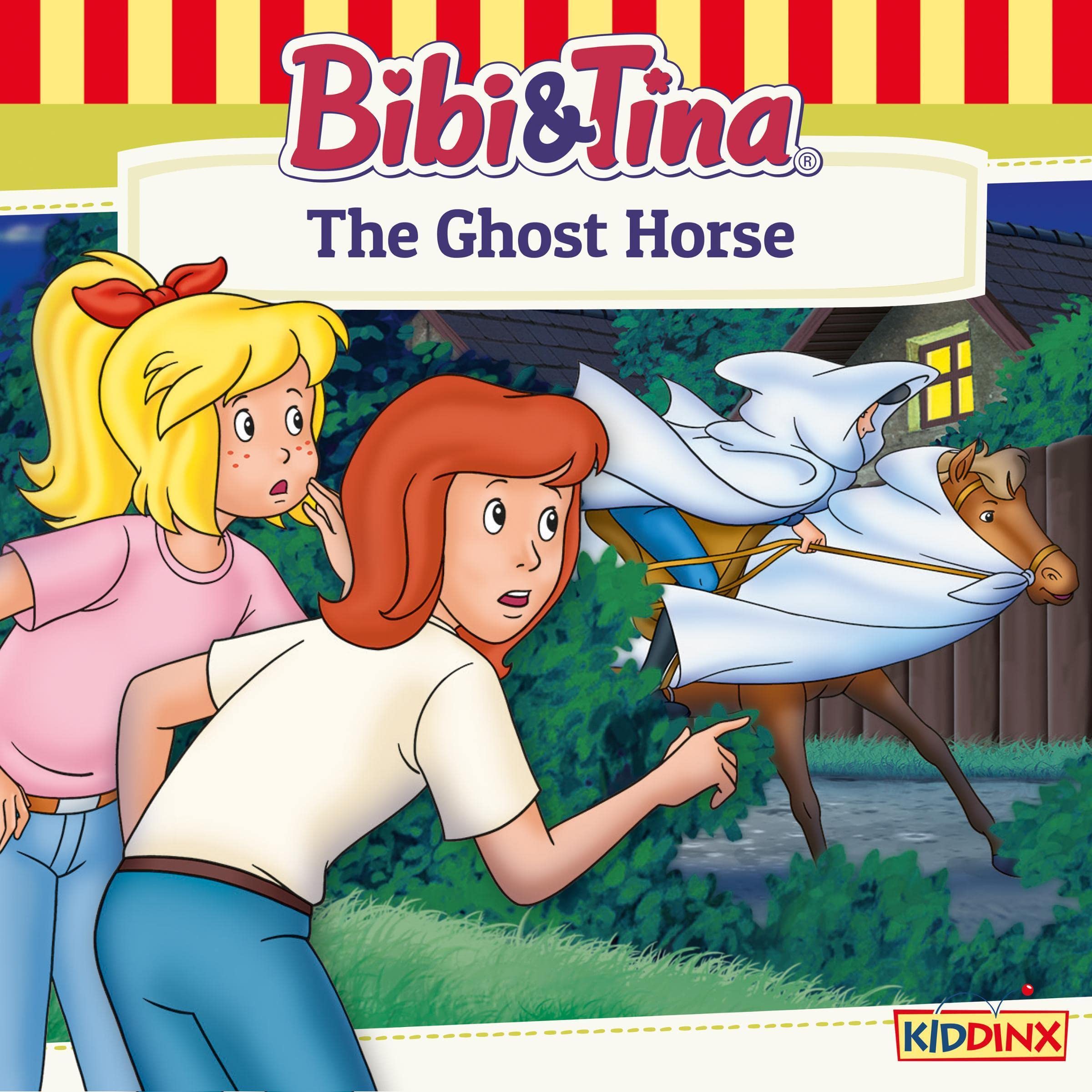 Cover art for The Ghost Horse