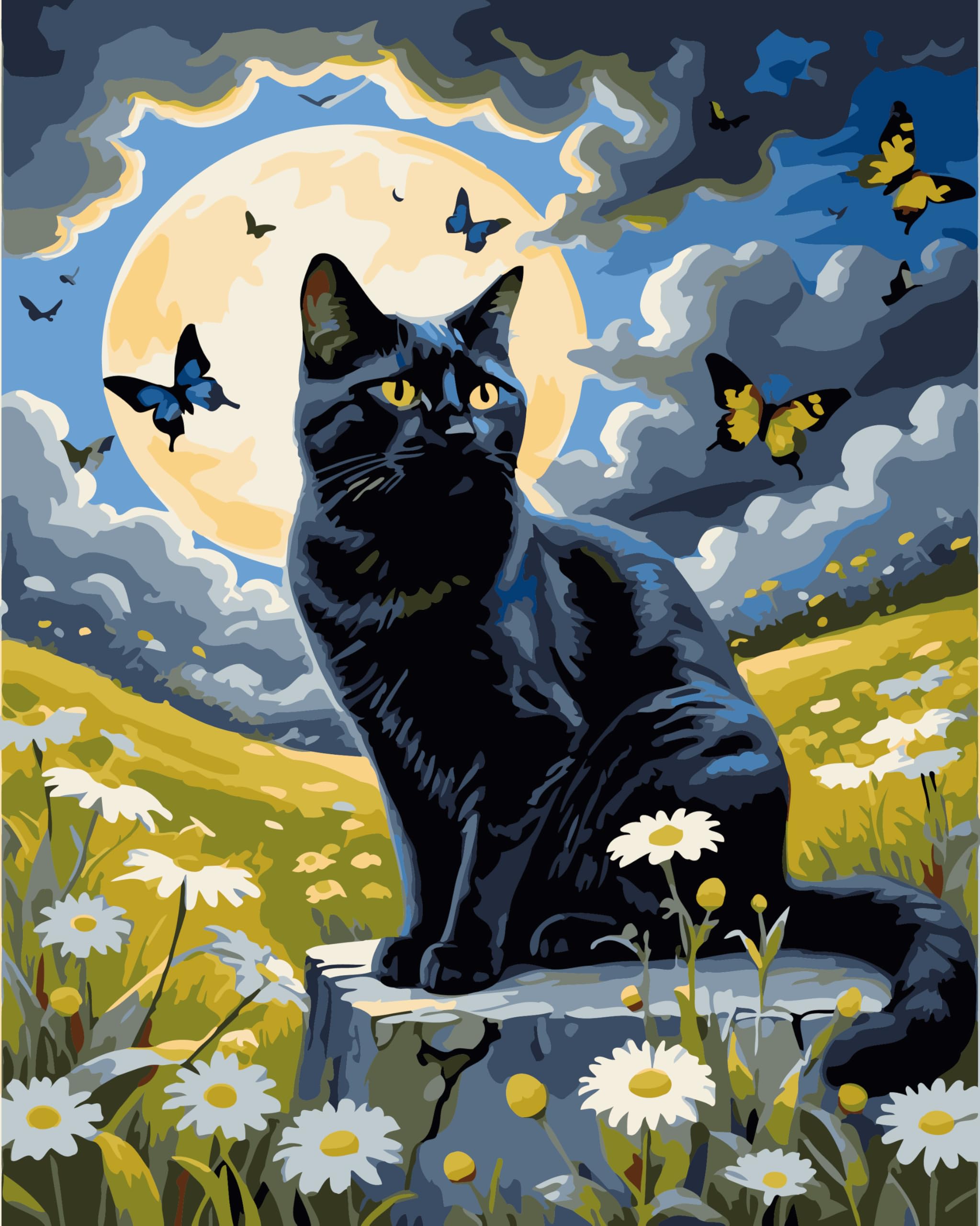 CaptainCrafts Paint by Numbers for Adults DIY Oil Painting Paint by Numbers with Canvas Acrylic Art Crafts House Decor 16x20 Inch (Frameless, Slightly Unhappy Black cat) — image 1