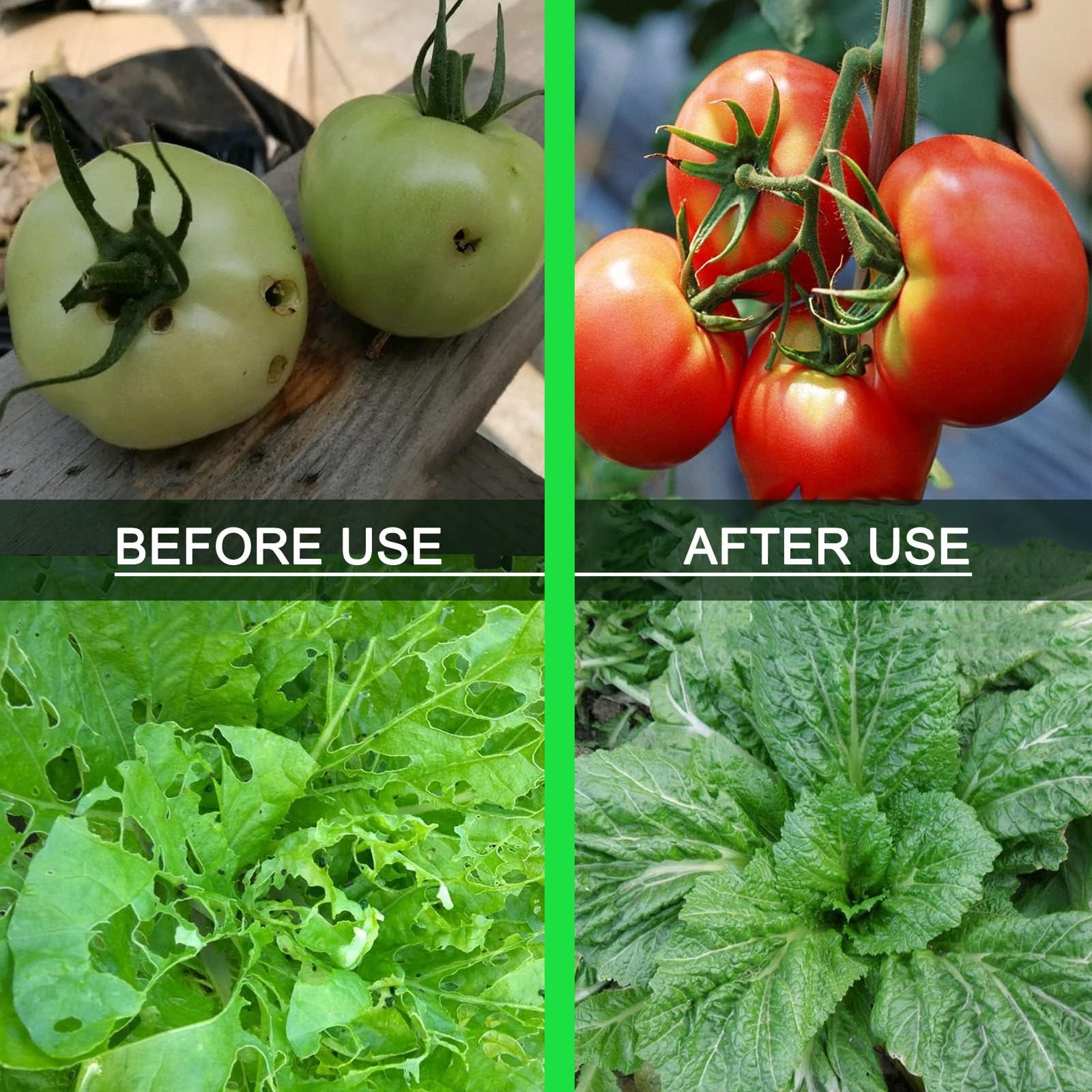 Malla antigranizo y antipájaros Gemse Resistente a los Rayos UV para la protección del jardín, 4x10 m, Malla Transparente - Ideal para árboles frutales y huertos.