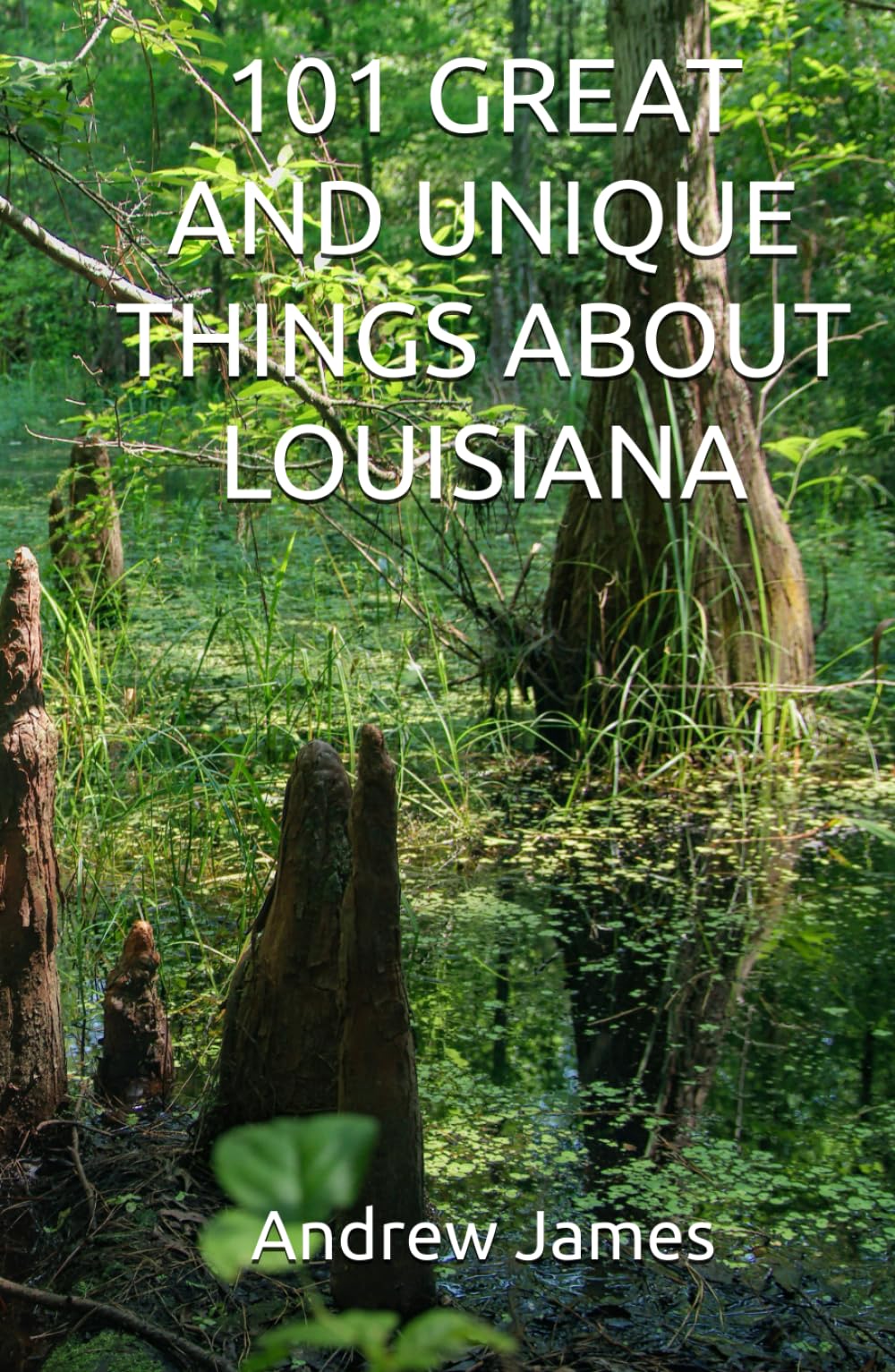 101 GREAT AND UNIQUE THINGS ABOUT LOUISIANA