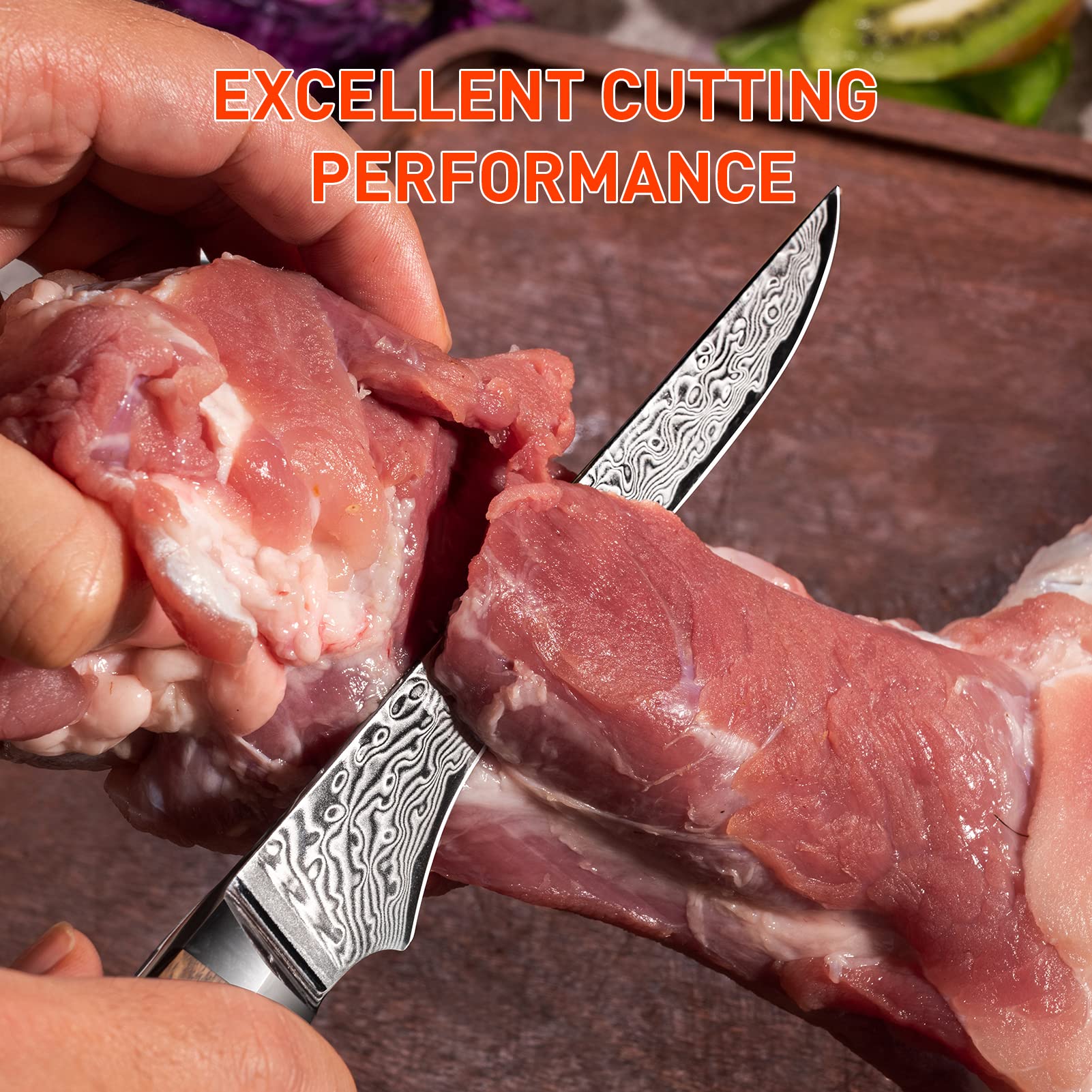 Coltelli da Disosso Damasco Coltello per Disossare Professionale 14CM - 67 Strati VG10 Acciaio al Carbonio Alto- Coltello per Filetti con Manico in Legno Naturale e Confezione Regalo