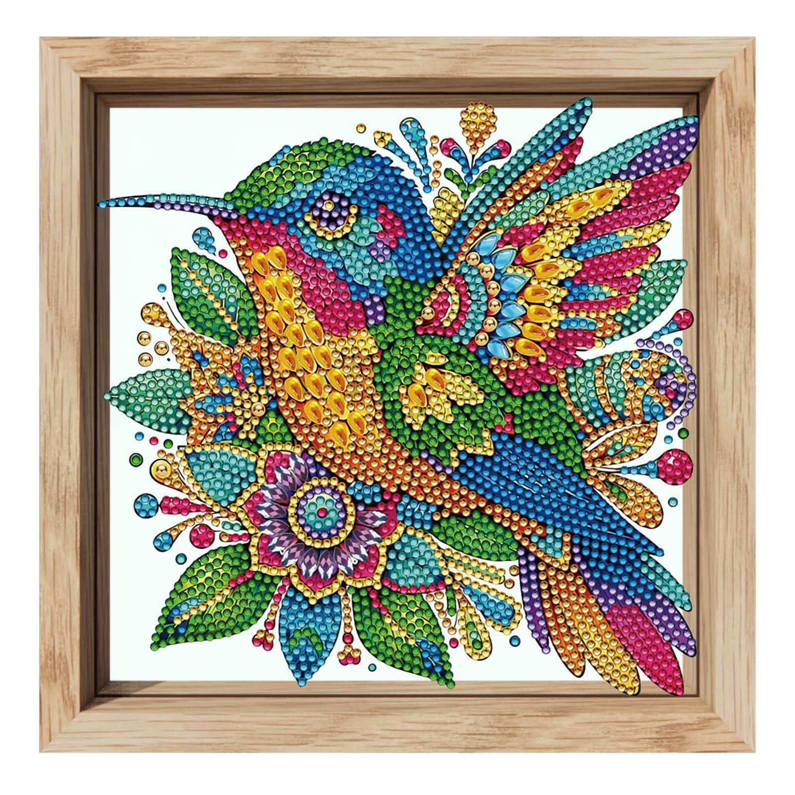 POETRYDRAW Hummingbird Flowers Special Shaped 5D DIY Drill Diamond Art Painting Kits 20x20cm Diamond Art Paintings with Frame Diamonds Paintings Gem Art for Adults Beginners Home Decor