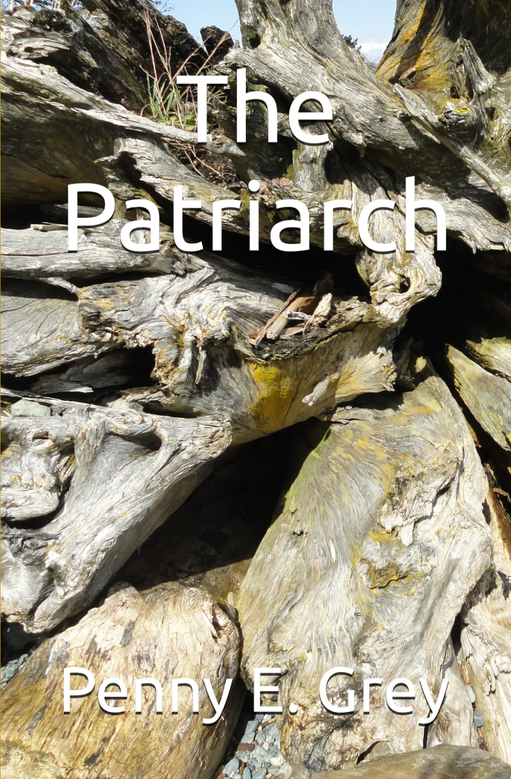 The Patriarch