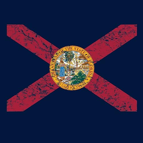 Miniatura 2 de UGP Campus Apparel Bandera del estado de Estados Unidos - Camiseta de viaje con orgullo de ciudad natal