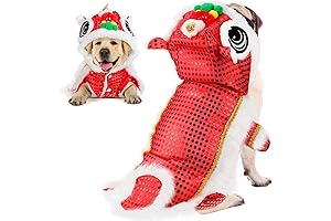 Cute Lion Dance Dog Costume for Chinese New Year