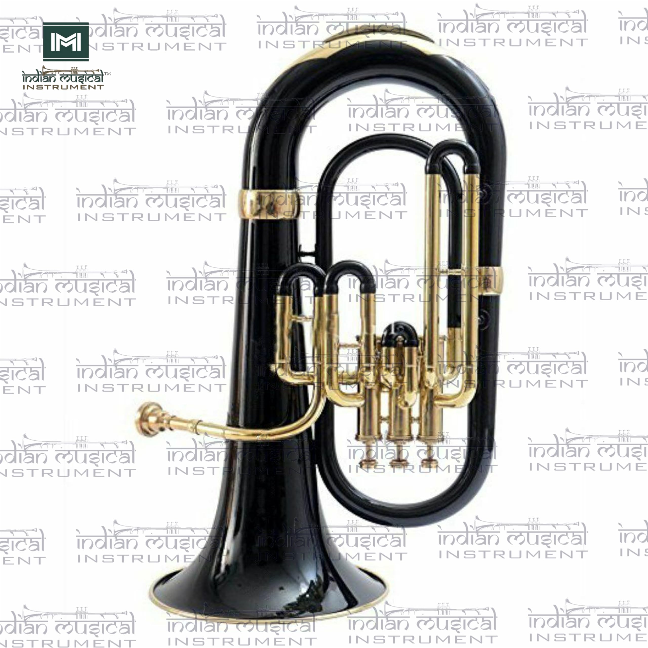Euphonium 3 valvola Bb Pitch con custodia e bocchino (nero oro)