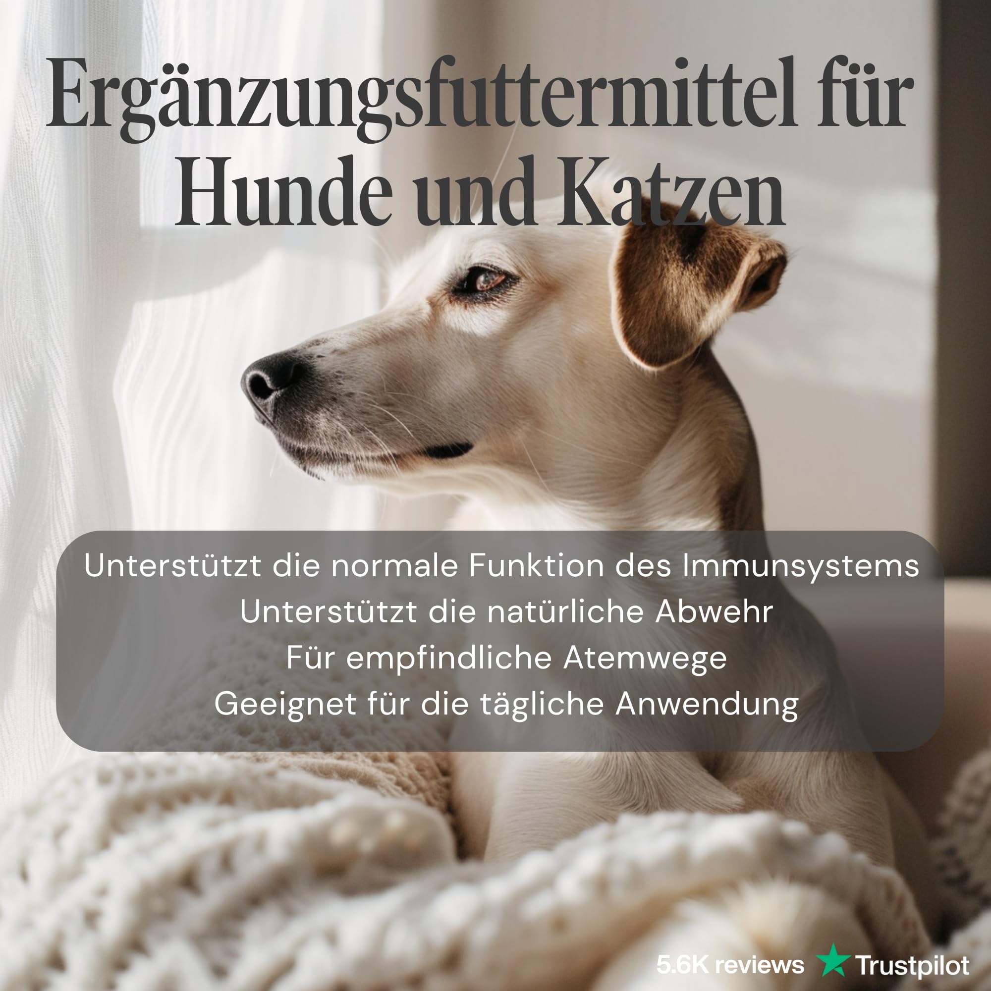 L-lisina per cani e gatti – Capsule di L-lisina ad alto dosaggio 670 mg per sostenere il sistema immunitario – Alimenti complementari amminoacidi – 100 capsule