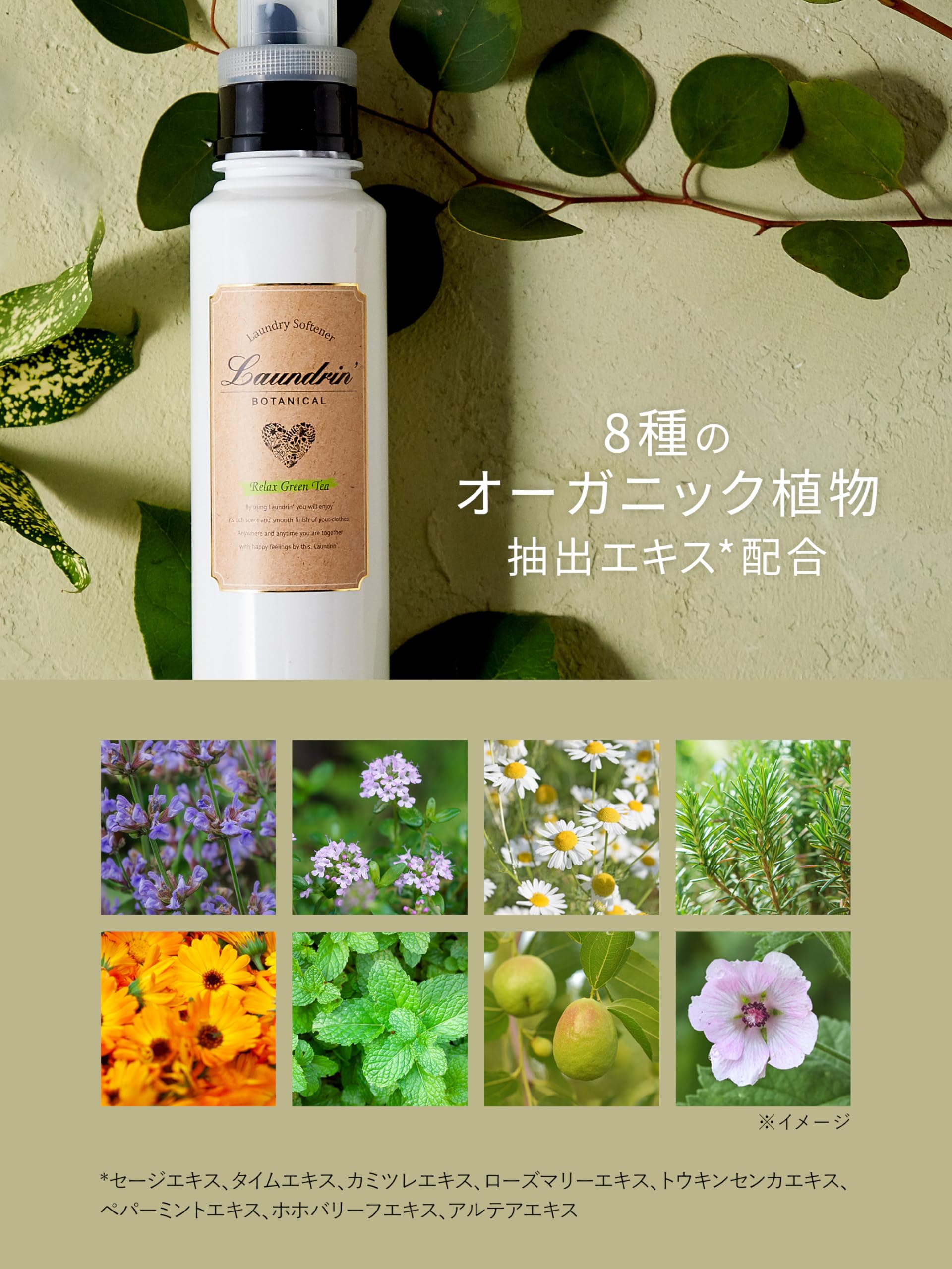 Amazon.co.jp: ランドリン ボタニカル 液体 柔軟剤 特大容量