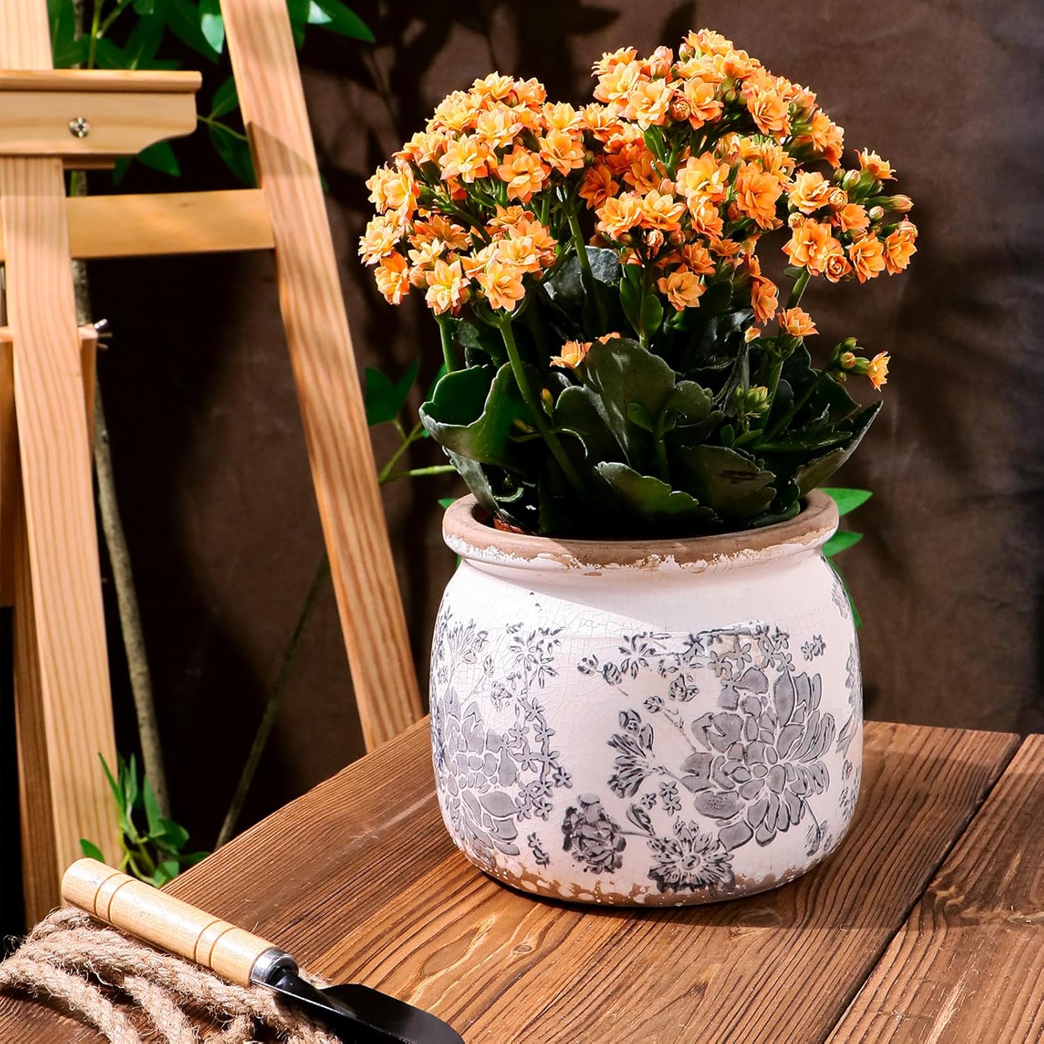 Dosayes Flower Pot,Vintage Gray Ceramic Pot for Planter with Drainage Holes, 6.29 inch Ice Crack Glazed Small Rustic Planters Pot for Indoor,Tucan Home Decor,Gardening Gifts