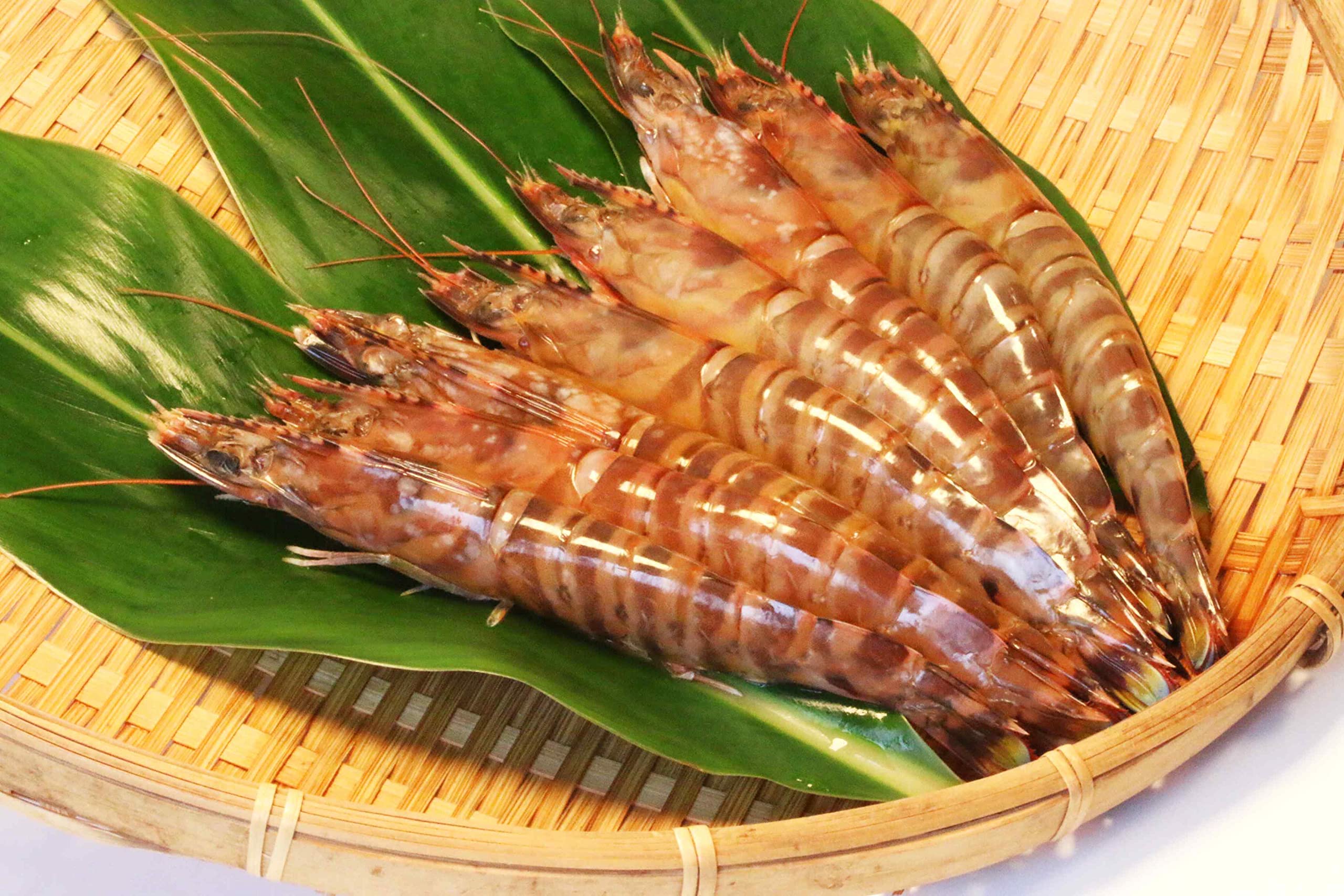 Amazon.co.jp: 久米島産 活〆冷凍 車海老 刺身用 生食用 500g LLサイズ