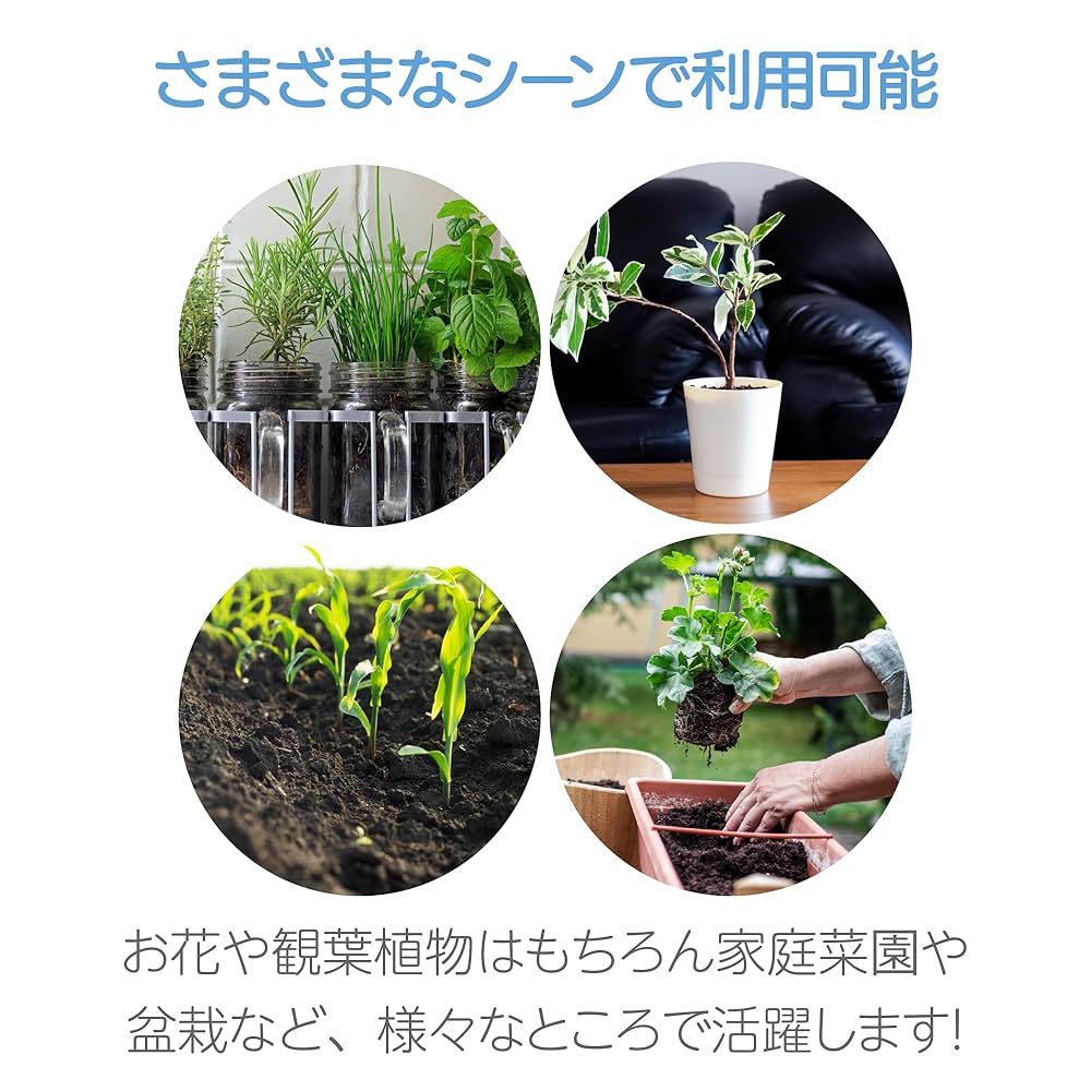 h*e様 コディサンダーソン鉢ネームプレートおまけ