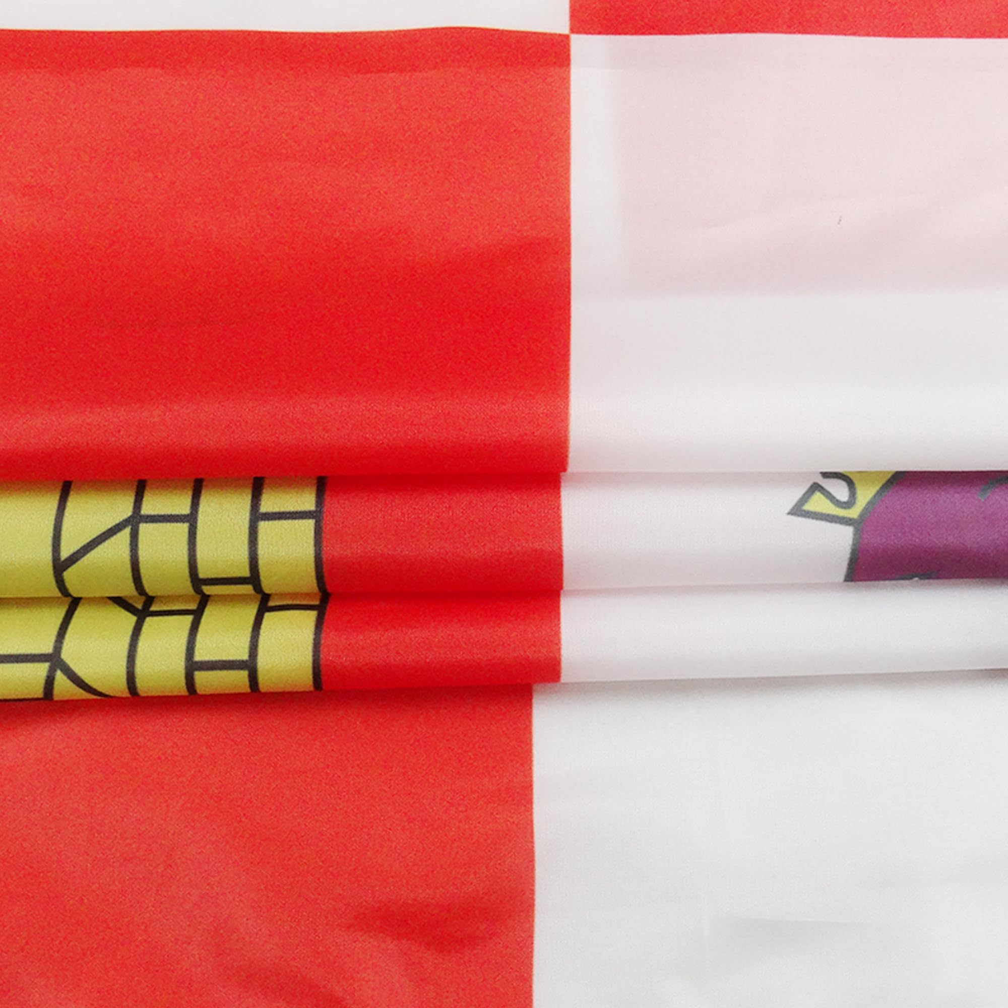 AZ FLAG, Castile And Leon Flag, 2x3 Ft, 100D Polyester Spanish Region Of Castilla Y Leon Banner with Two Metal Grommets - Image 3