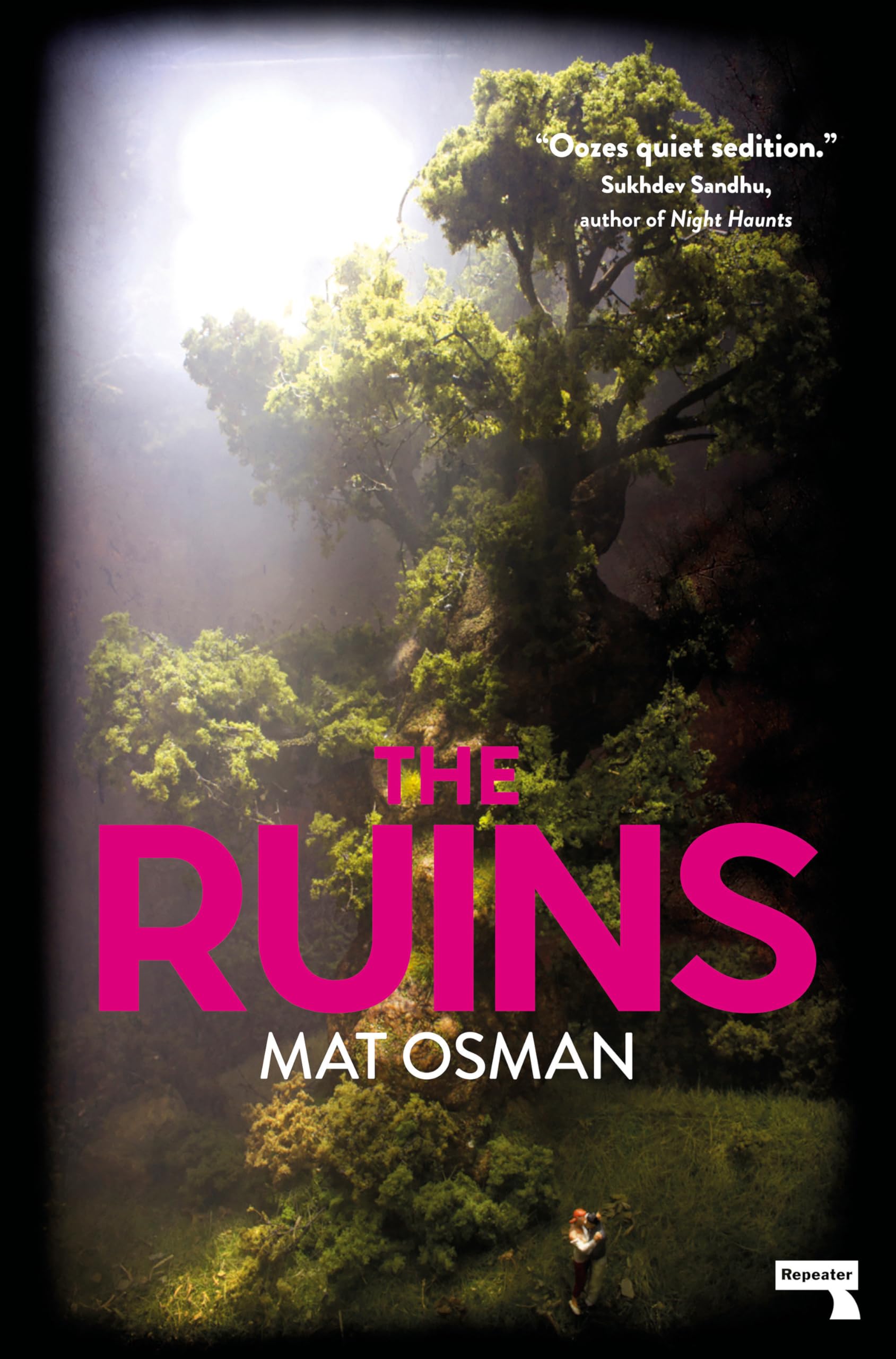 The Ruins by Mat Osman PAPERBACK 9781912248674
