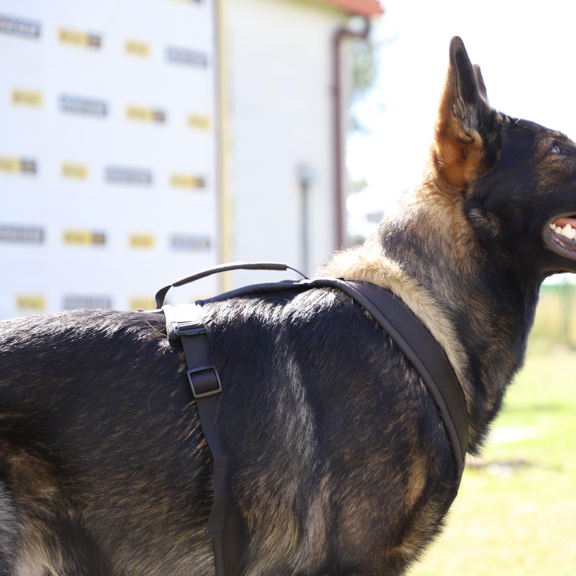 Dingo Gear S03226 - Arnés para perro ultraligero (3XL, ajustable, cómodo, fácil de poner, cuello 72 cm, pecho 50-120 cm)