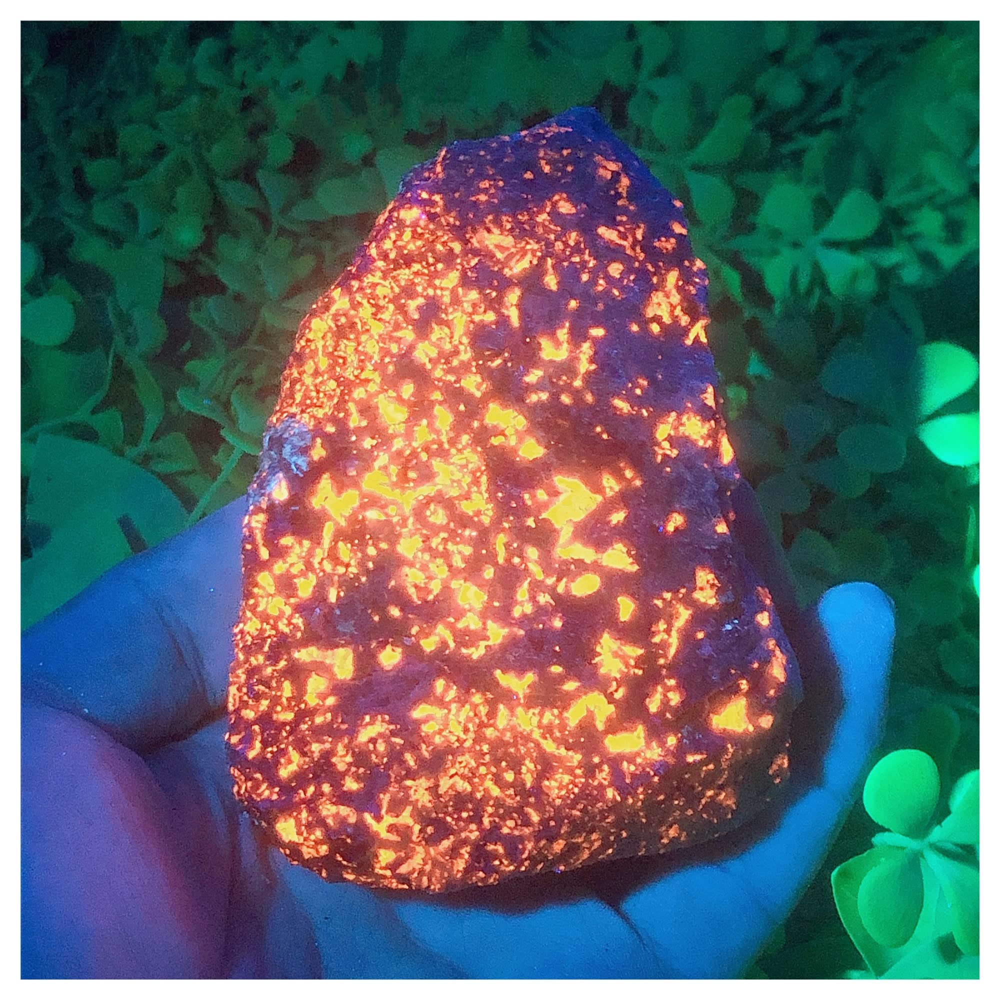 Cristalli Naturali All'ingrosso Prodotti Incisa Yooperlite Pietra Grezza Per Orn - Foto 12