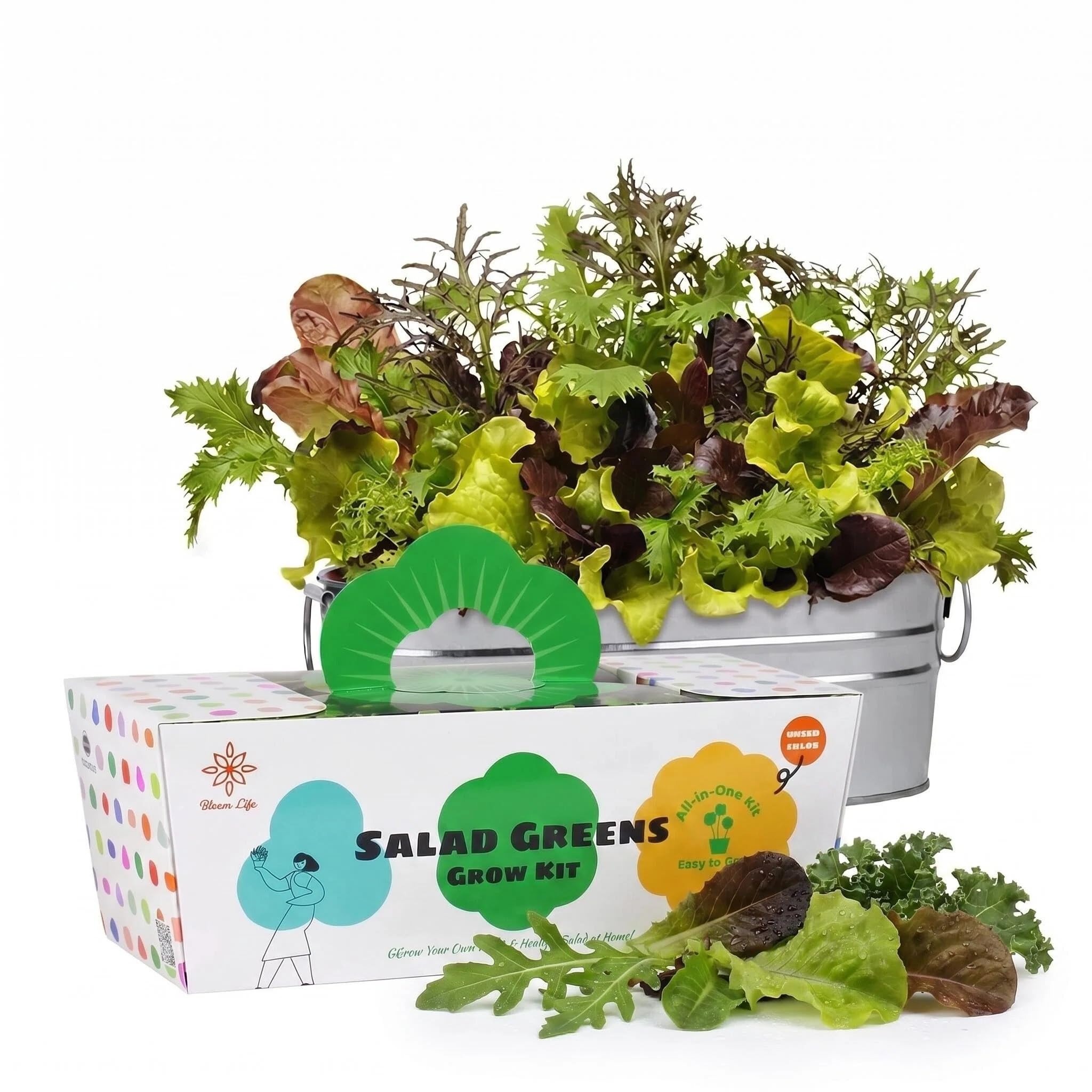 Kit de culture de laitue pour réussir votre potager d'intérieur sans espace