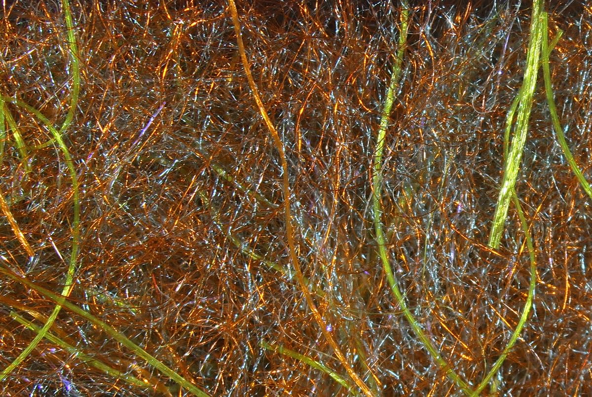 Cohn's Carp Dub Cray Zee Orange