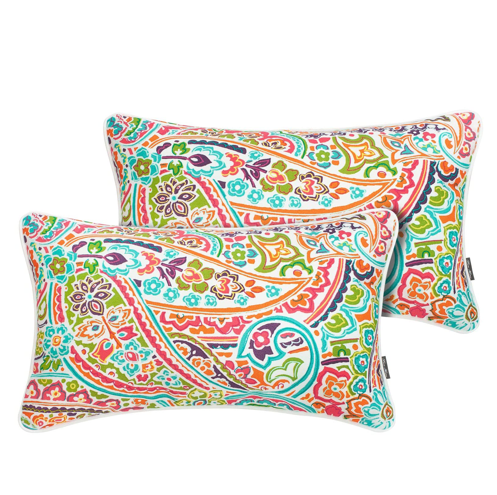 FUNHOME Set of 2 Outdoor Lumbar Pillows with Insert, 12”x20” Water-Repellent Fade Resistant Patio Lumbar Pillow, Decorative All Weather Lumbar Pillows for Home Coach Sofa Use-Melora Paisley