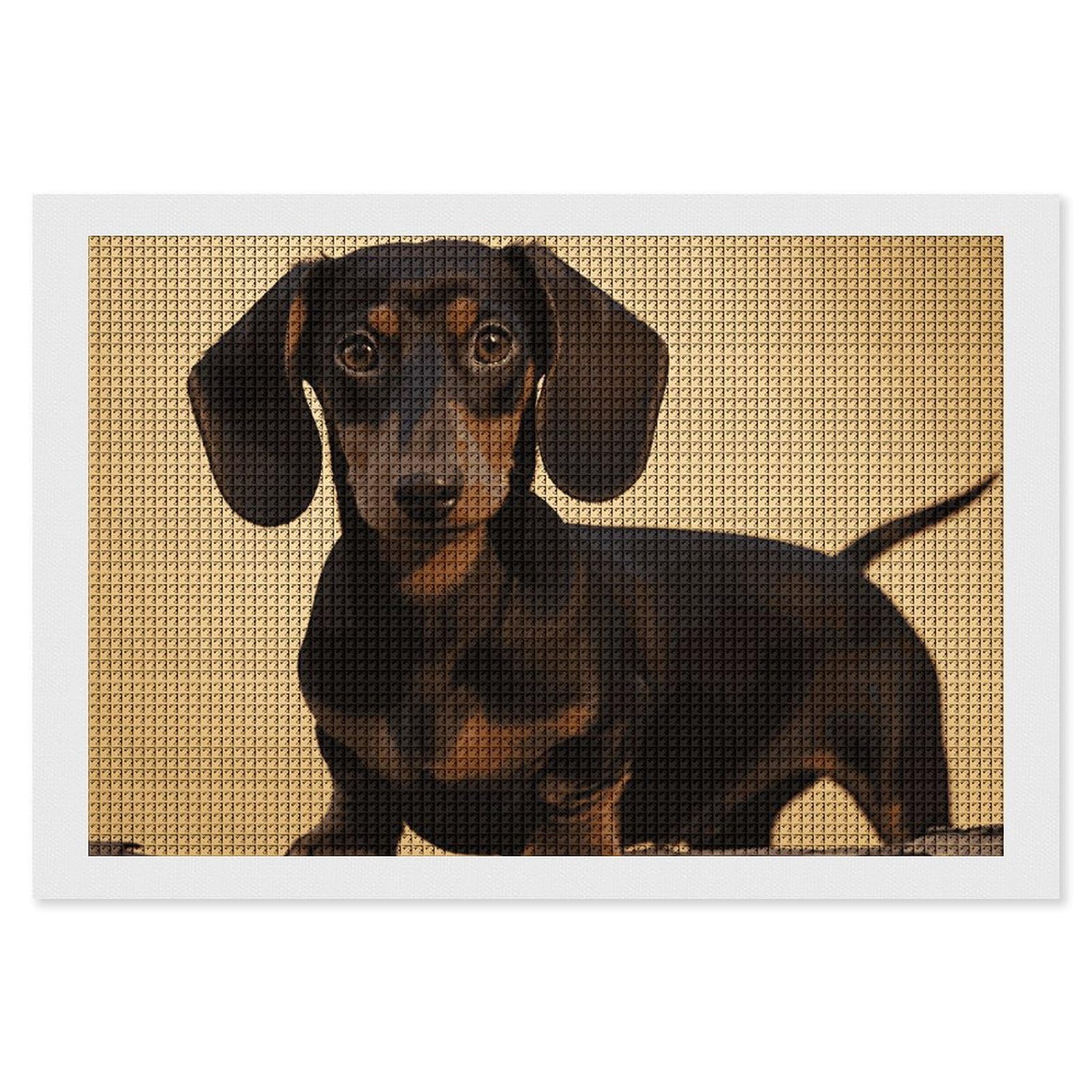 NONHAI Diamond Painting Kits for Adults - DIY Diamond Art Kits for Beginners - Full 5D Paint Drill Diamond Dots Paintings- A Cute Dachshund Diamonds Pictures Gem Art and Craft Wall Decor 8"x12"