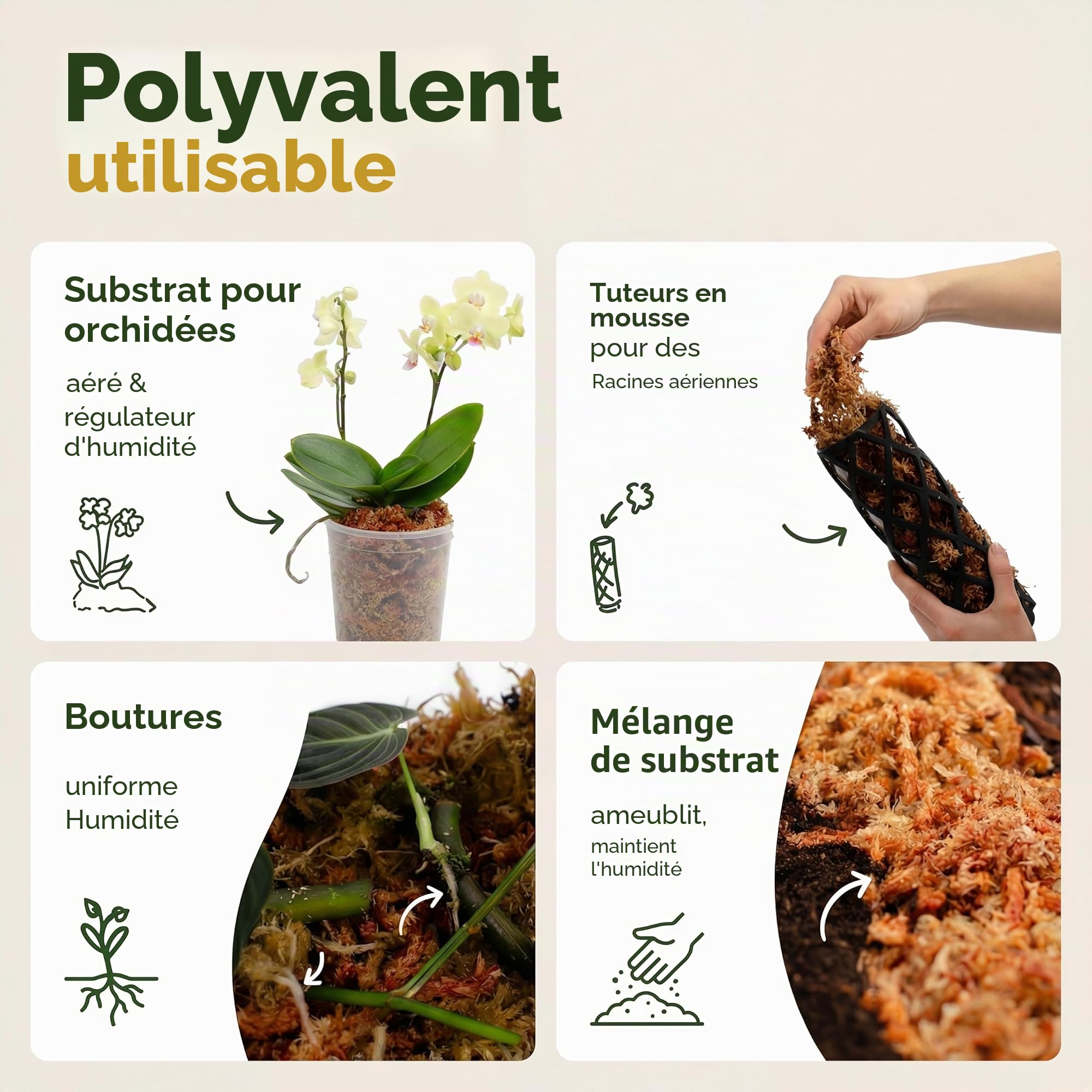 Mousse de sphaigne pour plantes d'intérieur et tuteurs, donne 10 l (1000 g)