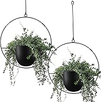 ABETREE 2 Pack Black Metal Hanging Planters with Chains & Hooks - Minimalist Indoor Outdoor Flower Pot Holders for Succulents & Vines