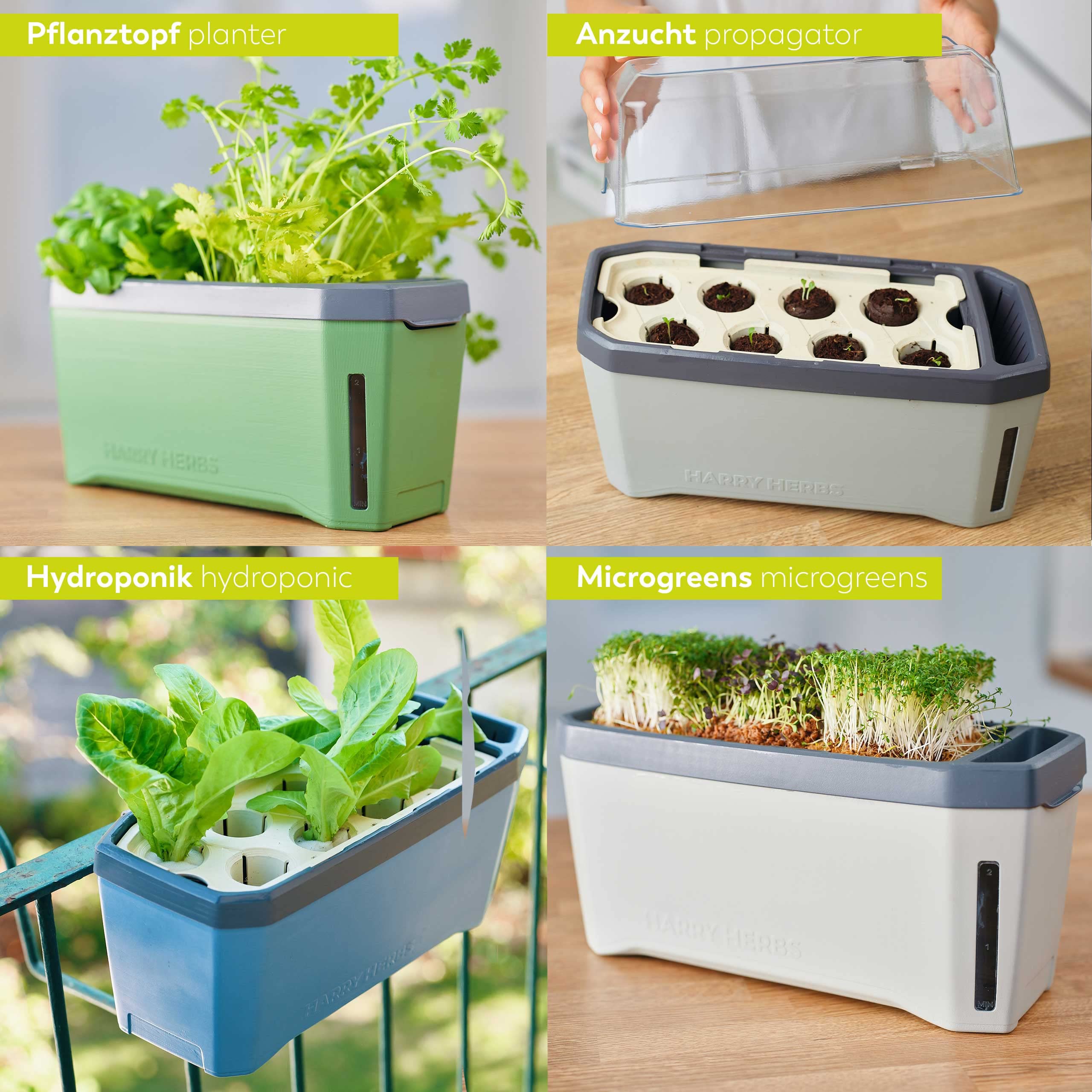 Gusta Garden Harry Herbs 4-w-1 doniczka na zioła ciemnozielona - doniczka do roślin - zdejmowana pokrywka i system samonawadniający - zbiornik na wodę 0,5L i pojemność na glebę 5L