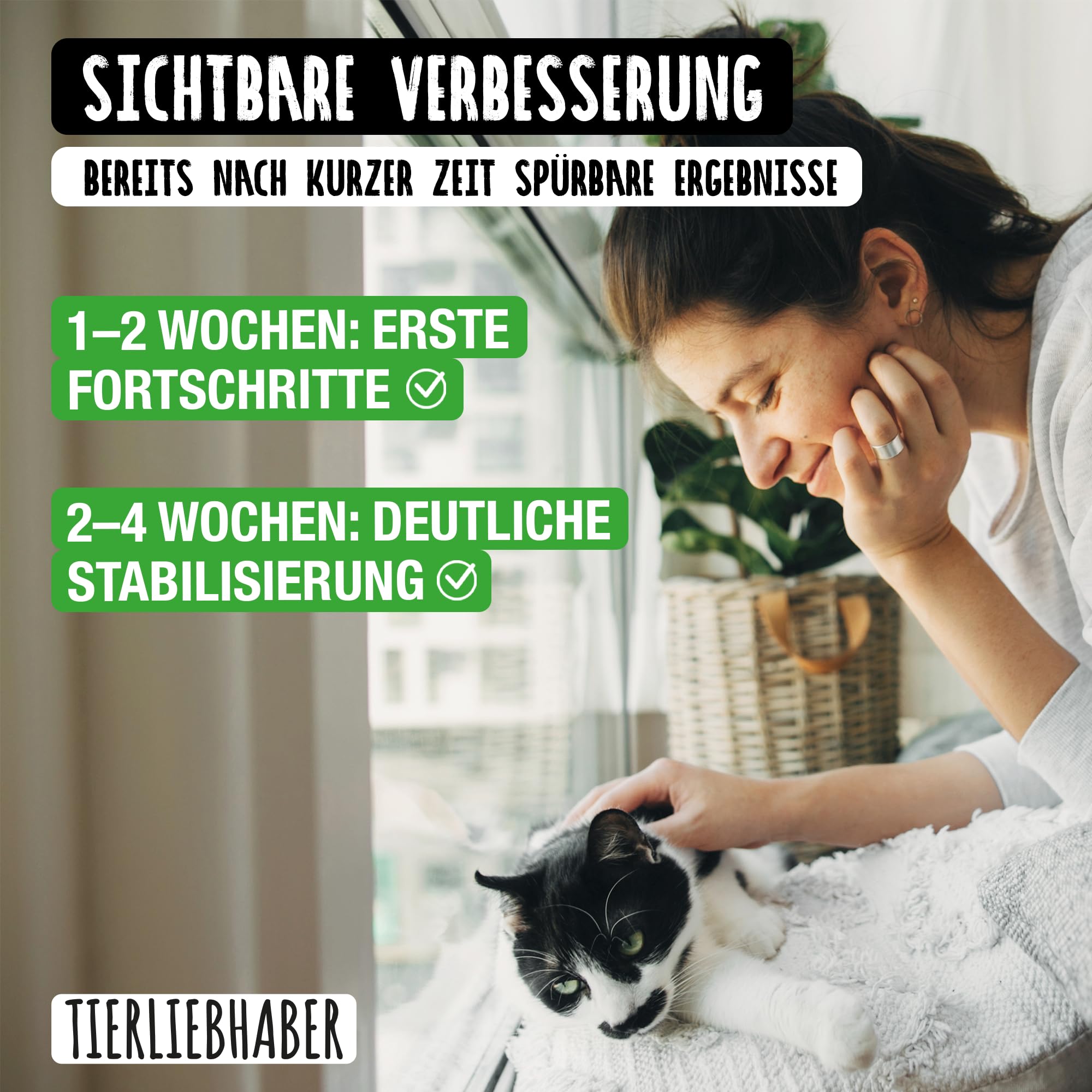 TIERLIEBHABER – Prä- & Probio Darmkur für Katzen – Probiotika für Katzen – Mit Tierärzten entwickelt – Probiotika Katze für eine Normale Magen-Darm-Funktion – Mit Flohsamen, Bierhefe & Inulin (75g)