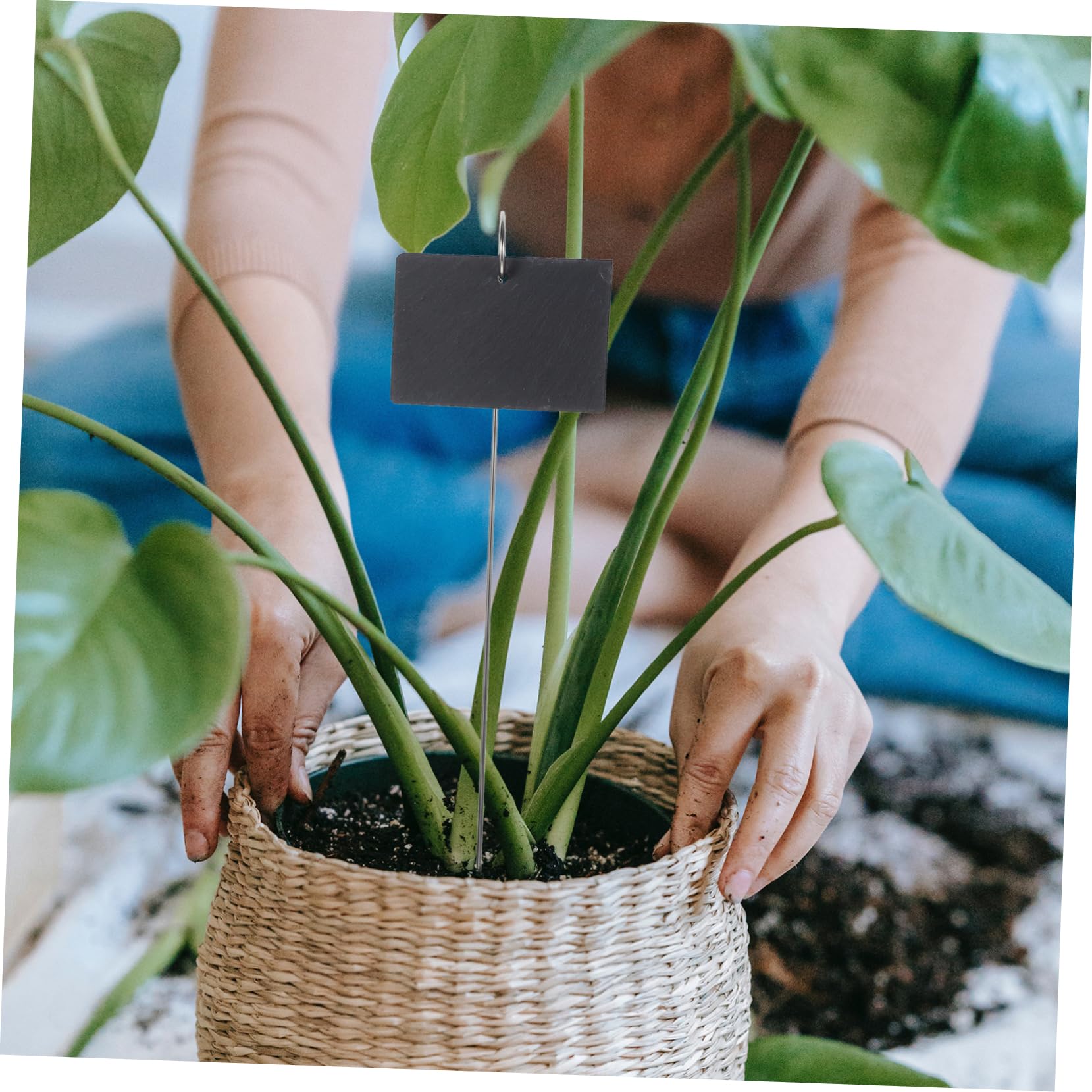 22-teiliges Set Mit Gartenetiketten Pflanzenmarkierungen Für Pflanzen Im Freien Leicht Zu Beschriftende Einlagen Für Hofgärten Und Heimdekoration