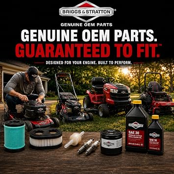 Briggs & Stratton SAE 5W-30