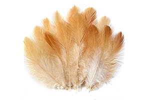 Soarer Natural Craft Feathers Bulk: 300pcs 3-5inch Natural Feathers for Dream Catcher...