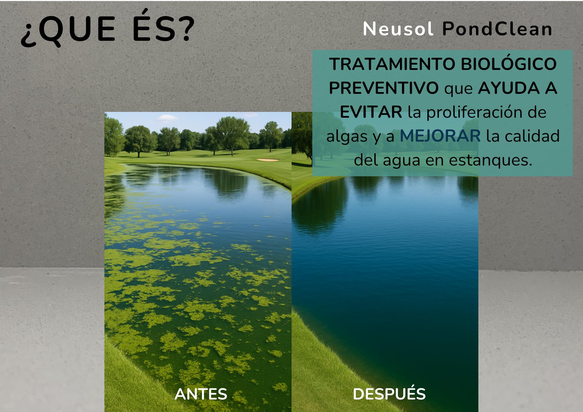 PondClean – Tratamiento Biológico Preventivo para Estanques, Lagos y Fuentes | Control de Algas y Aguas Verdes | Clarifica el Agua, Reduce Lodos y Olores | 100 % Seguro para la Vida Acuática