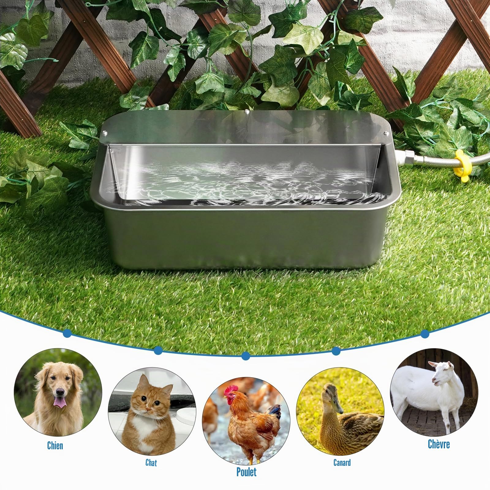 Bol à Eau Automatique pour Chien, RéServoir d'eau en Acier Inoxydable 11L pour Grands Chiens, Bol à Eau Auto-Remplissant pour Chien à L'ExtéRieur pour Chats, Animaux D'éLevage et Poulets.