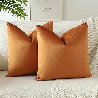 JOTOM Pack of 2 Velvet Soft Solid Cushion Covers 40x40 cm 16x16 Inch Decorative Throw Pillow Covers Square Cushion Case Home Decor Pillow Cases for Couch Sofa Living Room Bedroom (Orange)