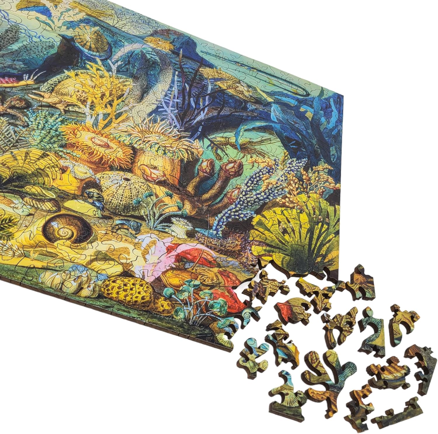 Wooden Jigsaw Puzzle for Adults - Uniquely Shaped Pieces - Made in The USA by FoxSmartBox - 444 Pieces - Ocean Life