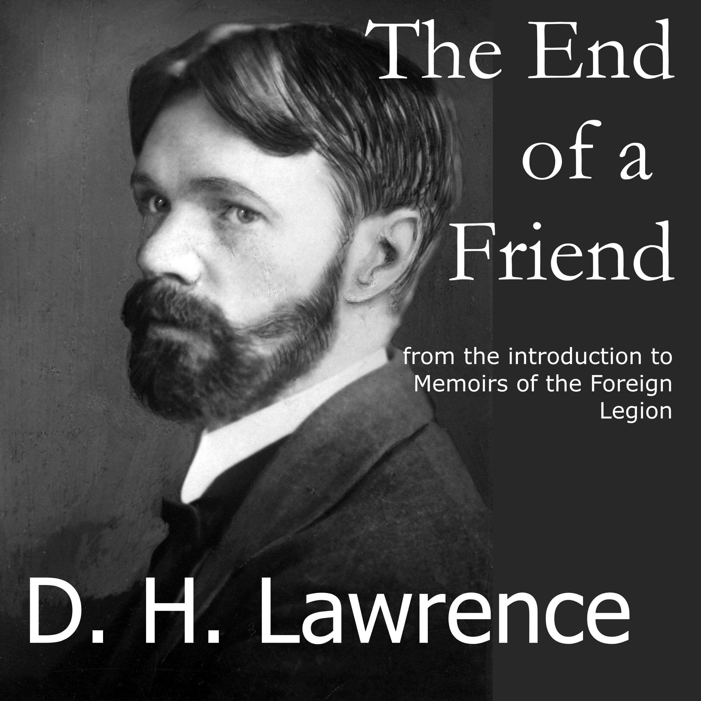 Cover art for The End of a Friend