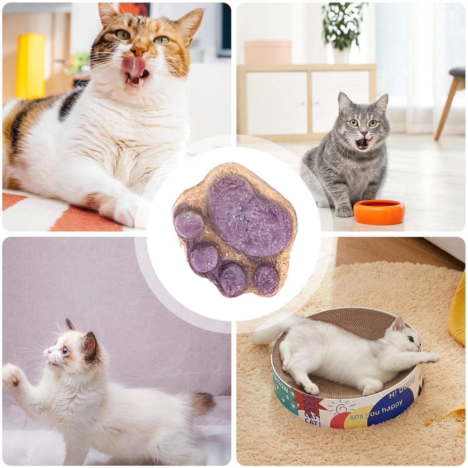 10pcs Paw Shaped Cat Snack Kittens Foods Treat Cat Oral Cleaning Snacks Cats Treat Selection Cats Grass Sticks For Indoor 5g 5 81W21CBtGAL. AC SL1500