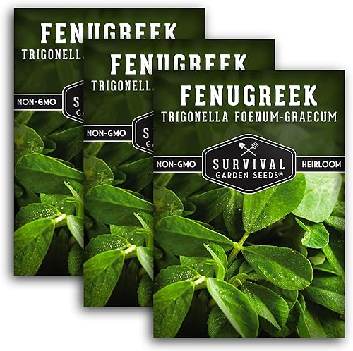 3 paquetes de semillas de alholva para plantar, paquete con instrucciones para cultivar Samudra Methi en tu huerto casero, reliquia sin OMG - Buenos