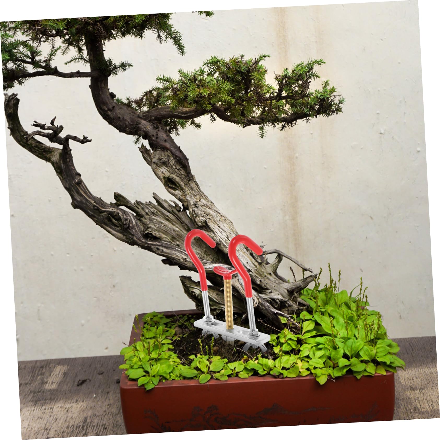 BESPORTBLE 5 Stück Abzweigeinsteller Bonsai-Drähte Bonsai-Baum-Kit Bonsai Baum Bonsaibaum Bausatz Bonsai-Werkzeug für den Garten Astscheren für die Gartenarbeit Astformungswerkzeug Metall