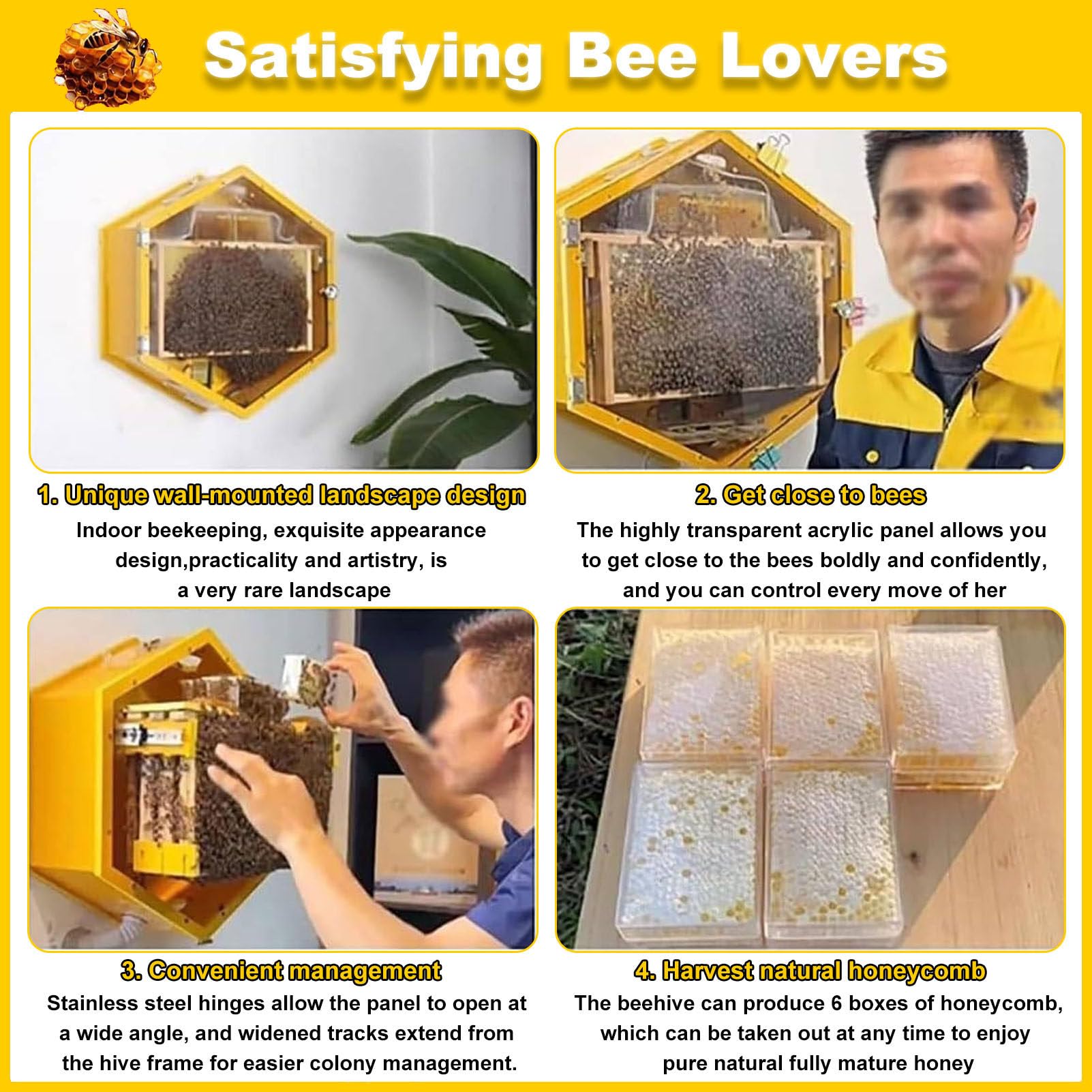 Caja para Colmena con Ventanas de observación, Kit Completo para Principiantes, para cría de Abejas en Interiores, fácil observación, con 3 Marcos y Caja de Miel de 6 panales.