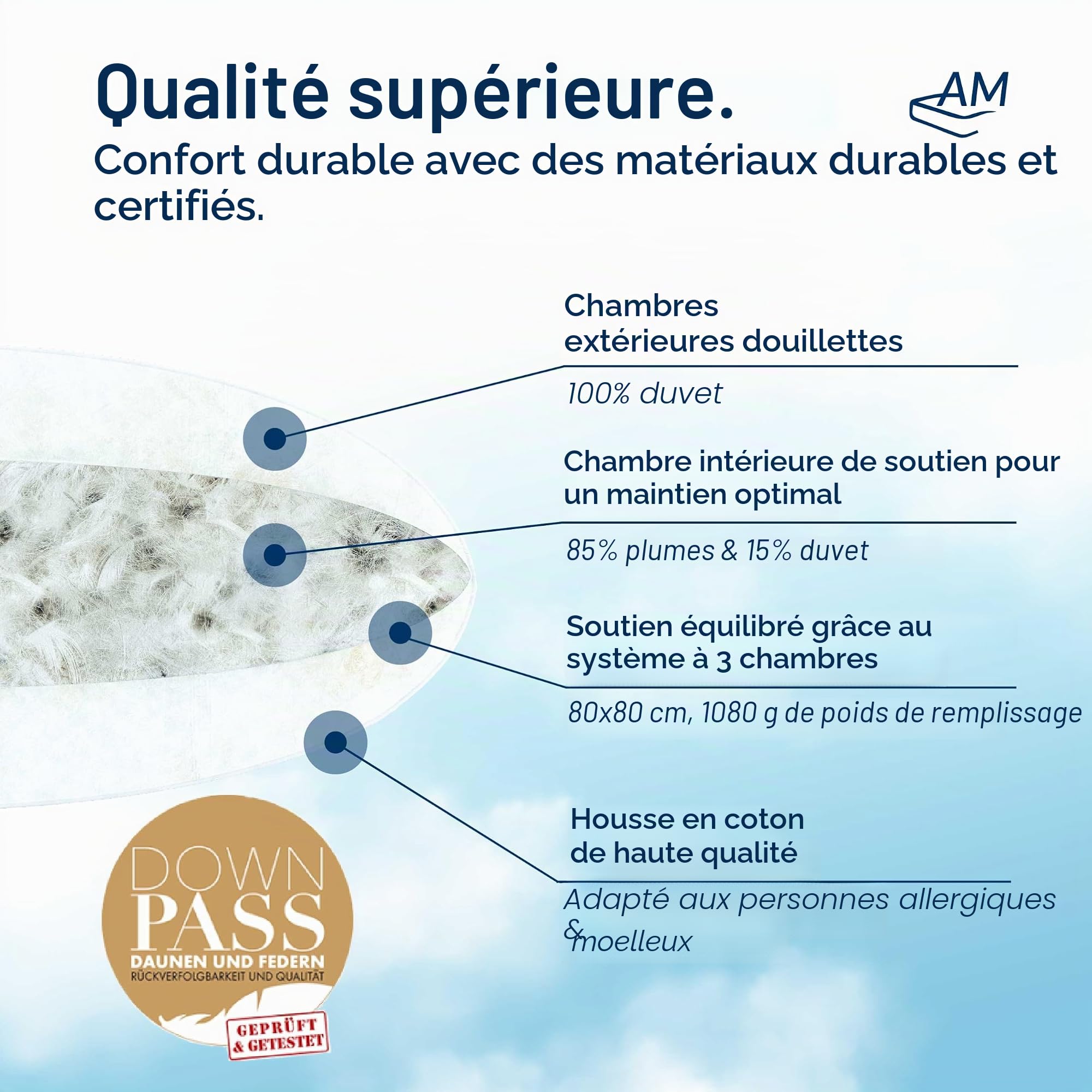 Oreiller 80x80 en Duvet et Plumes de Haute qualité - 100% Naturel - Coussin 80 x 80 Doux – Oreiller épais à Trois Chambres - L'enveloppe d'oreiller 80 x80 en Coton - Oreiller Duvet