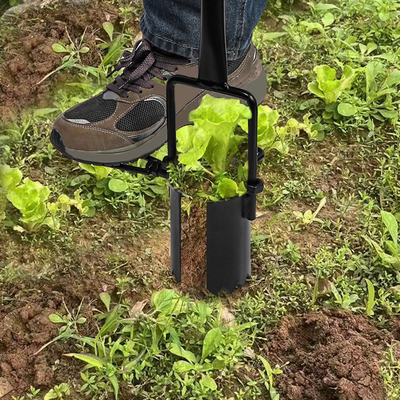 Transplanter cebulek wytrzymałe urządzenie do przesadzania kwiatów wielofunkcyjne narzędzie do sadzonek krokusów mieczyka profesjonalne narzędzie ogrodnicze