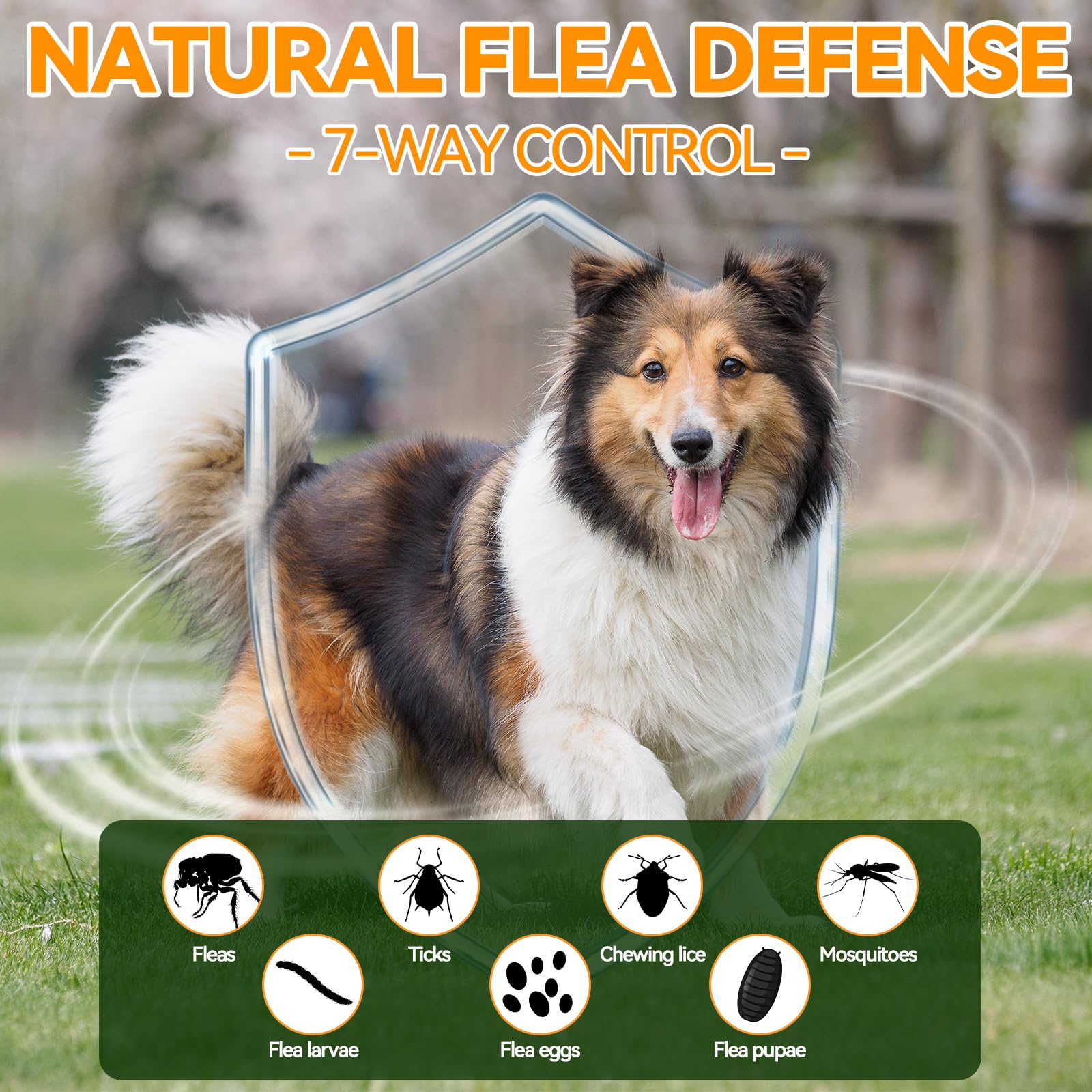 Carmelie Flea and Tick Chewables for Dogs, 200 Chews Natural Dog Flea and Tick Support - Image 3