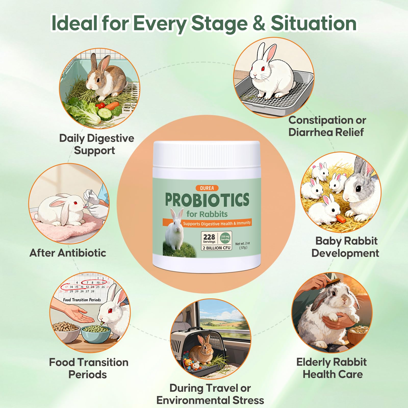 Probiotics for Rabbits, All-Natural Digestive Supplement with 2 Billion CFU, Daily Gut Health Support, Promotes Healthy Stool, Eases GI Discomfort, Immune Support Powder, 228 Servings