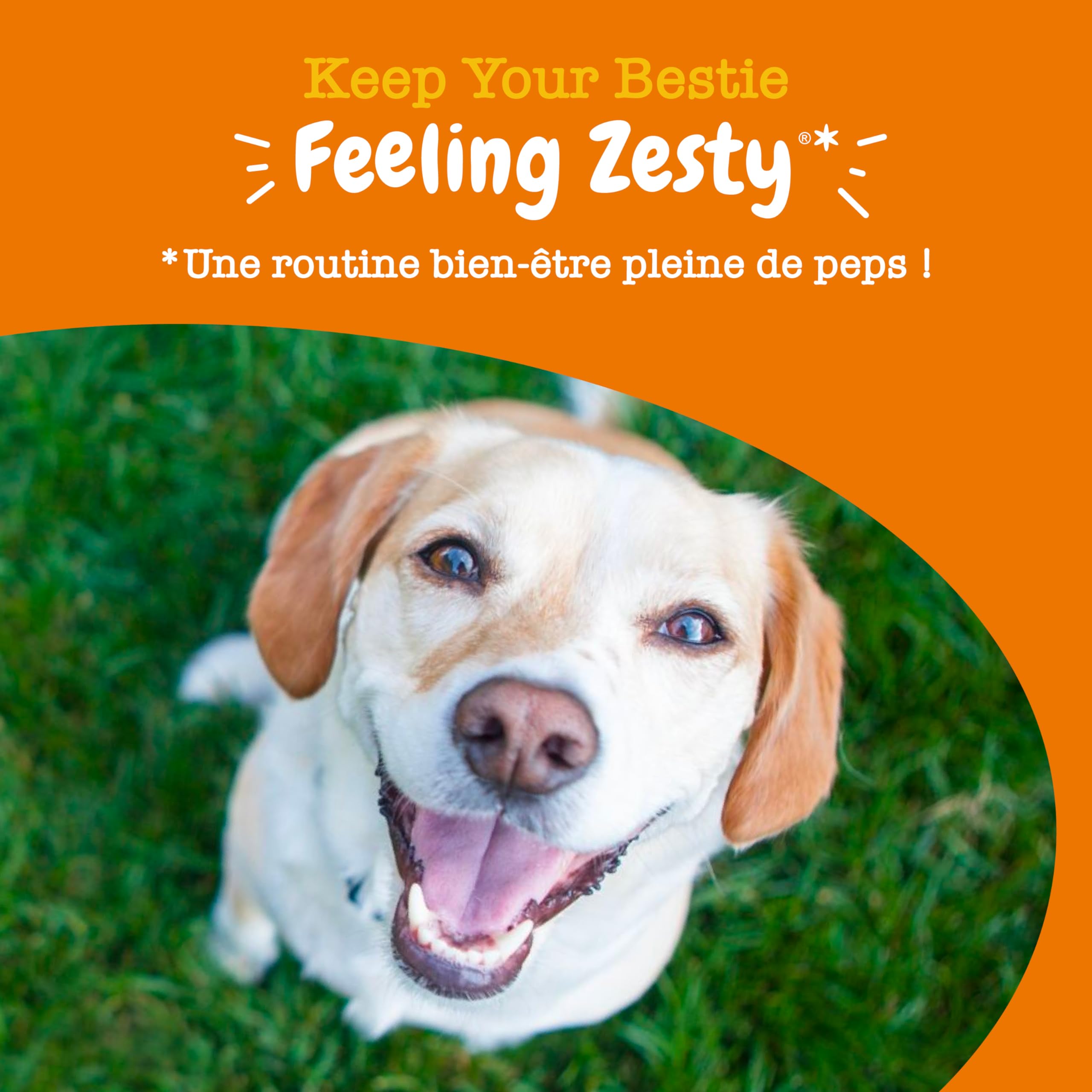 Zesty Paws Bouchées Probiotiques Chien | Supporte Digestion, Équilibre Intestinal, Système Immunitaire | Prébiotiques, Probiotiques, Postbiotiques | Usage Quotidien | 90 Bouchées