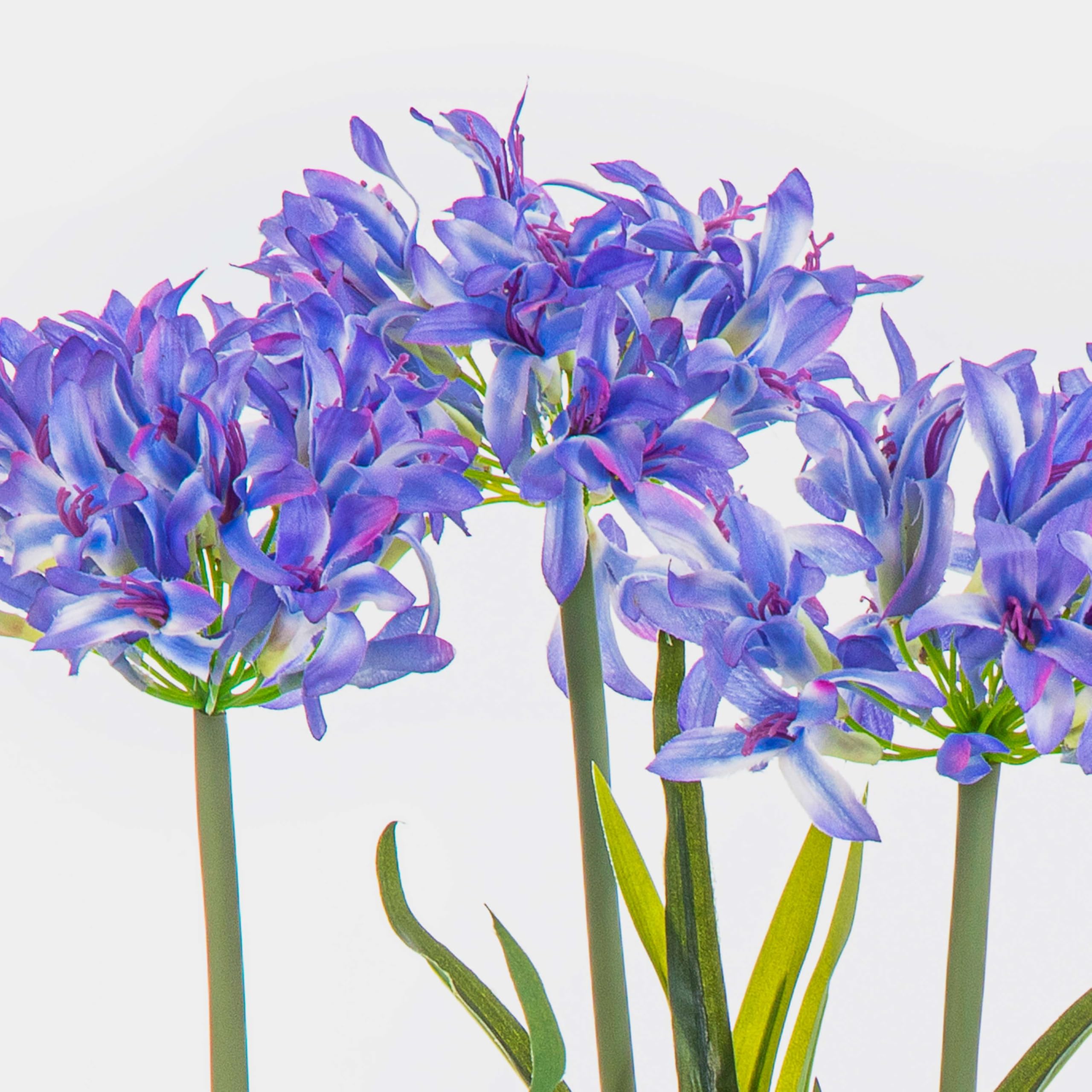 artplants.de Fleur Artificielle Agapanthus LESEDA, Bleu, 65 cm