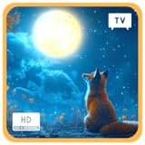 Imágenes de alta calidad en Fire TV que crean una atmósfera serena bajo las estrellas.