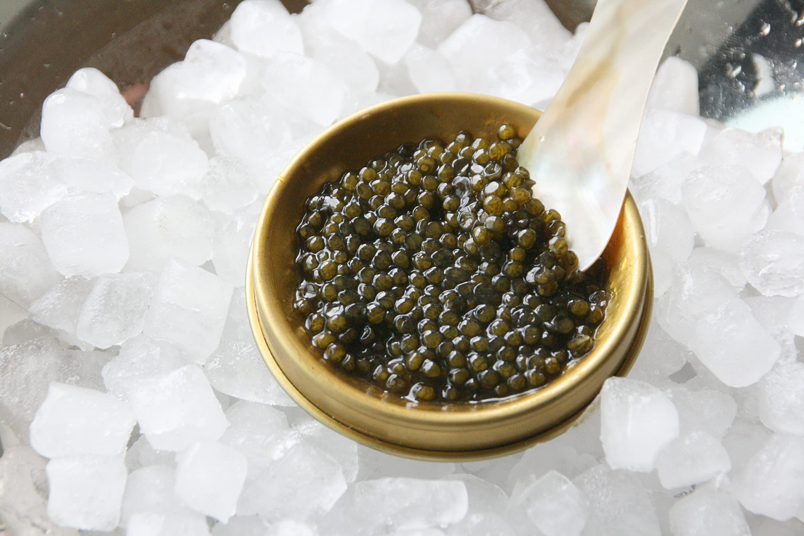 Caviar Amour Beluga 000