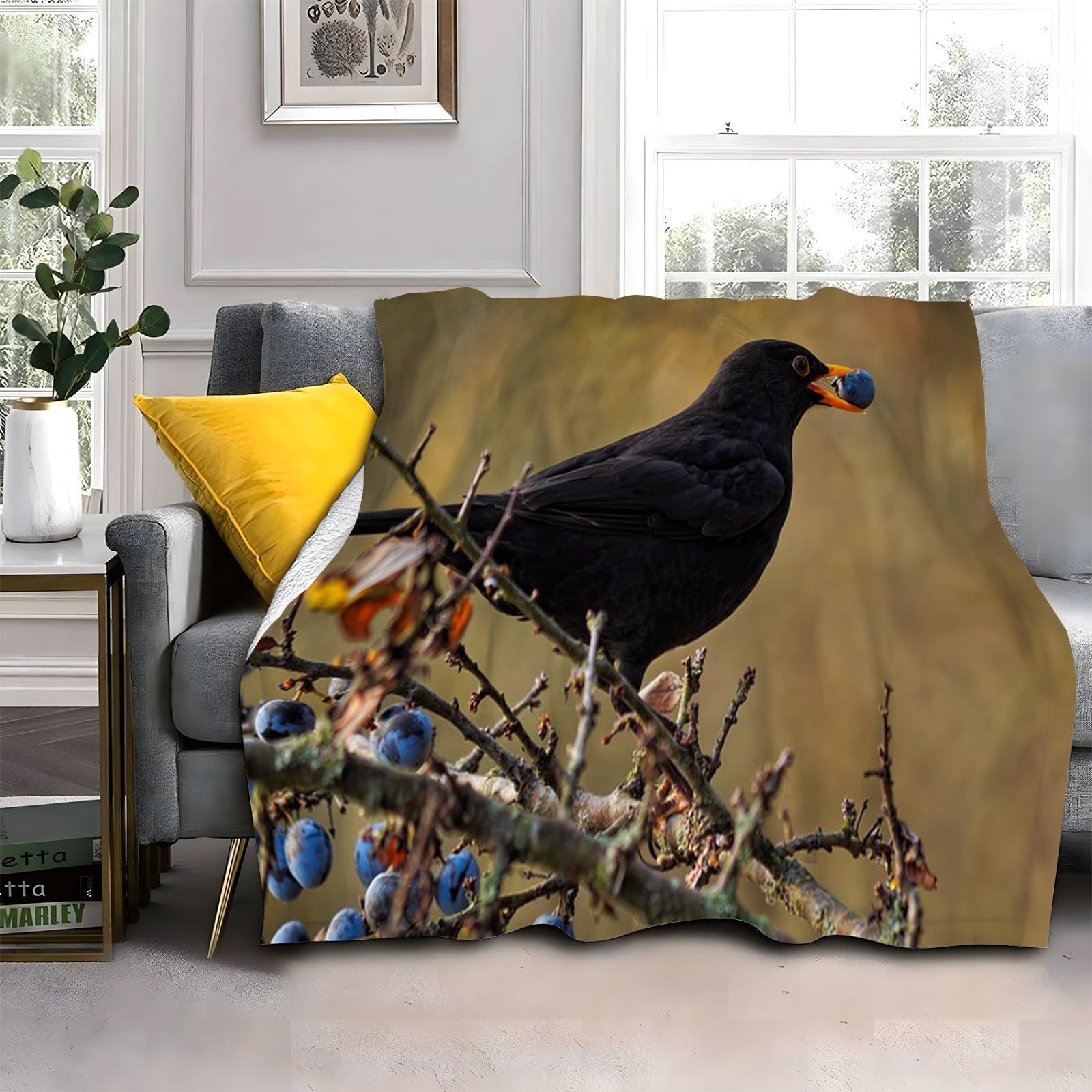 LLSZAHD Raven Double Size Throws Blanket Blueberries Comfort Soft Sofa Bed Flannel Blanket 128x152cm, Modern Fashion Design Style Children Adults Bedroom Decor - Travel Blankets 50"x60"