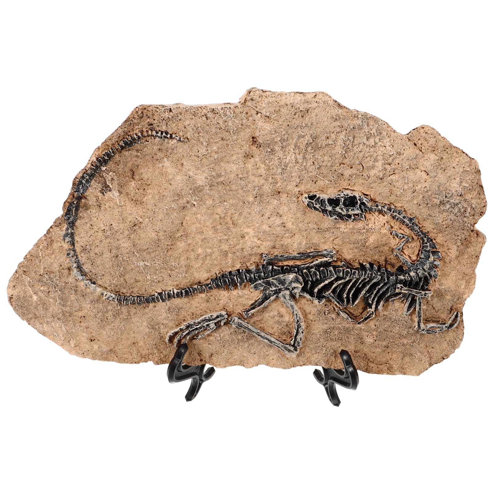 Alipis Fossile di Dinosauro in Resina Finto Ornamento da Tavolo Vintage per Casa Ufficio Decorazione da Tavolo Motivi Intricati