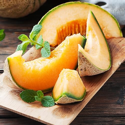 Miniatura 336 de Back to the Roots - Paquete de semillas 100% orgánicas de ají poblano de 0.005 onzas Ají 'Poblano' 140mg,Frijol 'cera dorada' 0.30 oz,Frijol